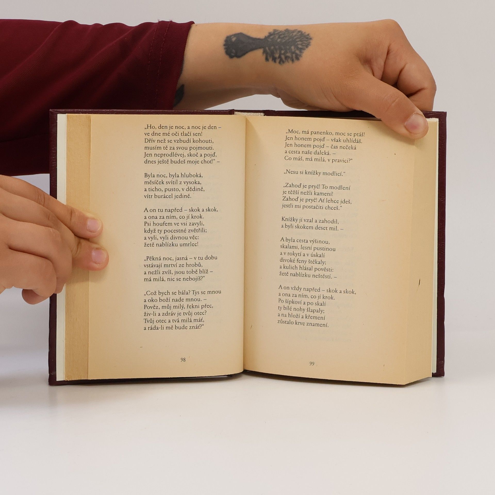 Kolektív autorov To nejlepší z poezie 19. století