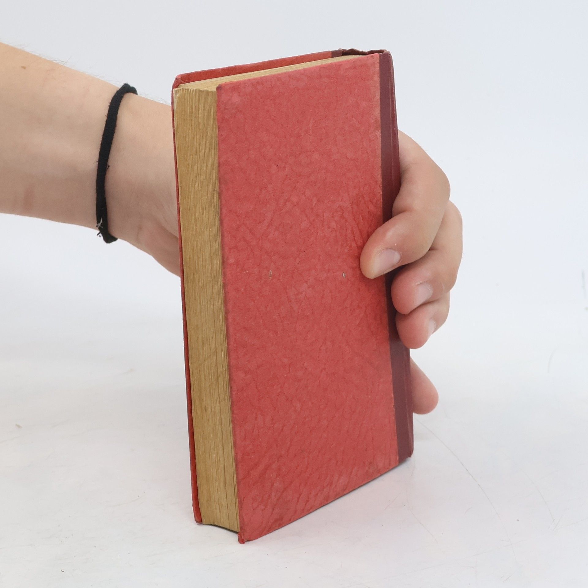 Autorenkollektiv Holtze's wörterbücher slowakisch-deutsch I