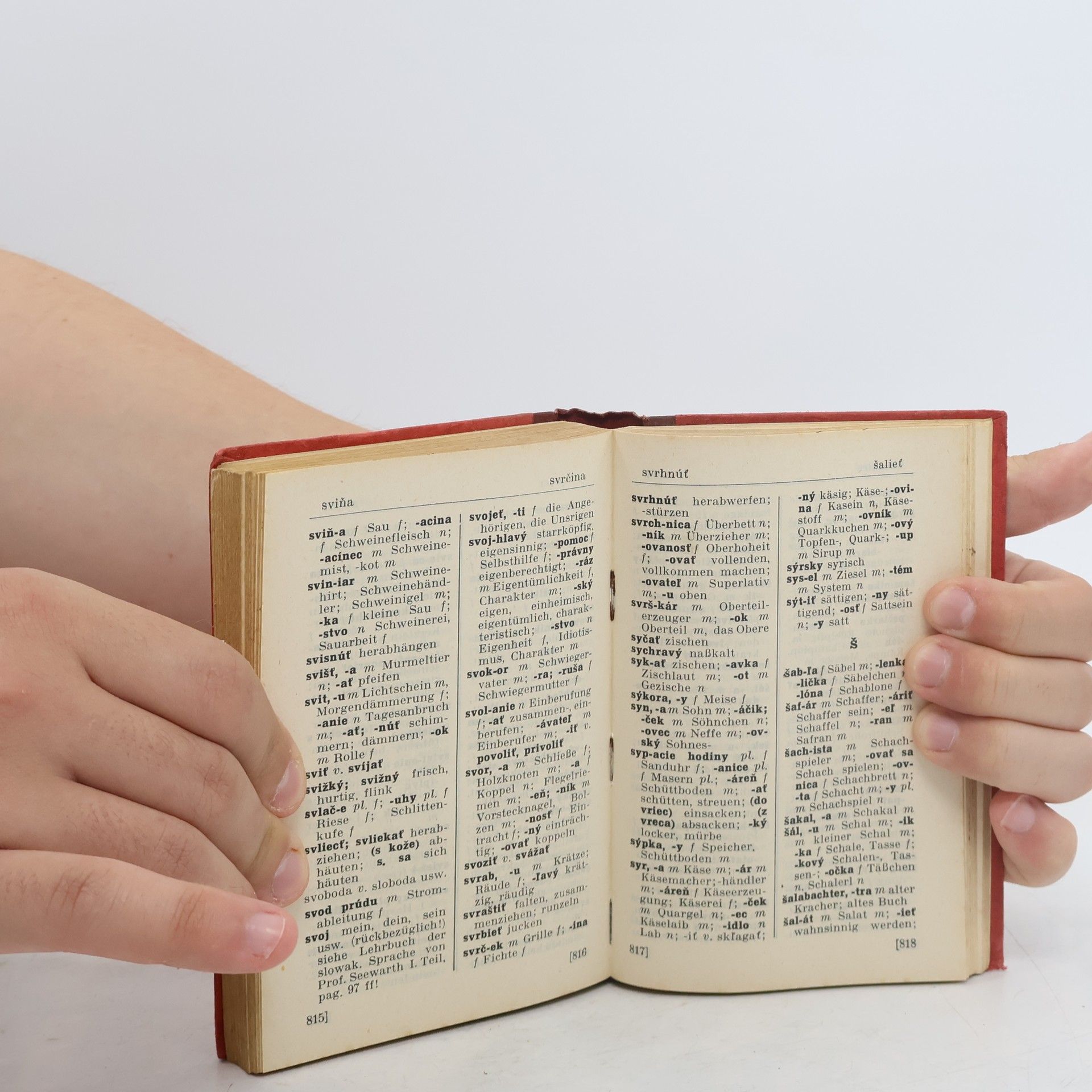 Autorenkollektiv Holtze's wörterbücher slowakisch-deutsch I