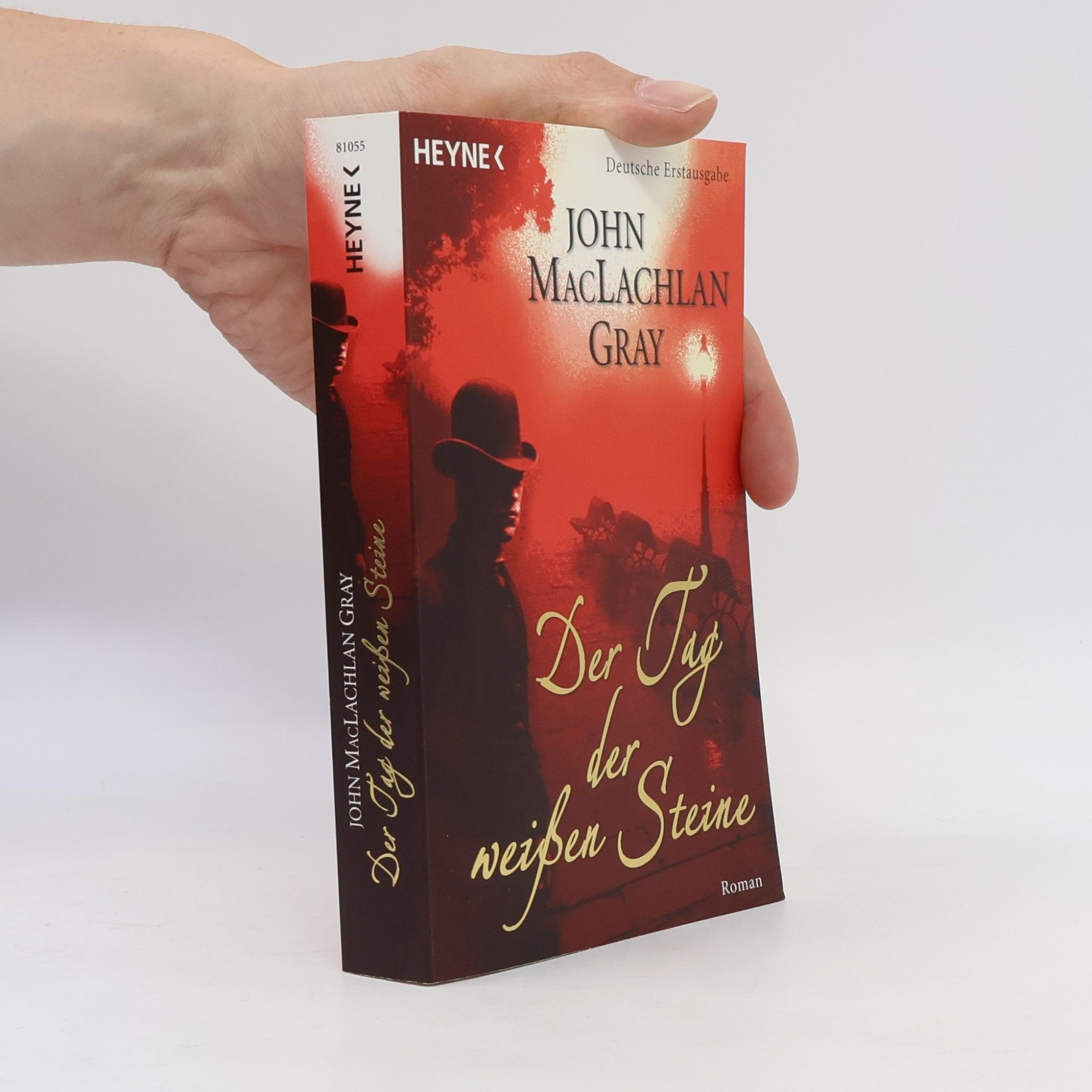 John Gray Der Tag der weissen Steine