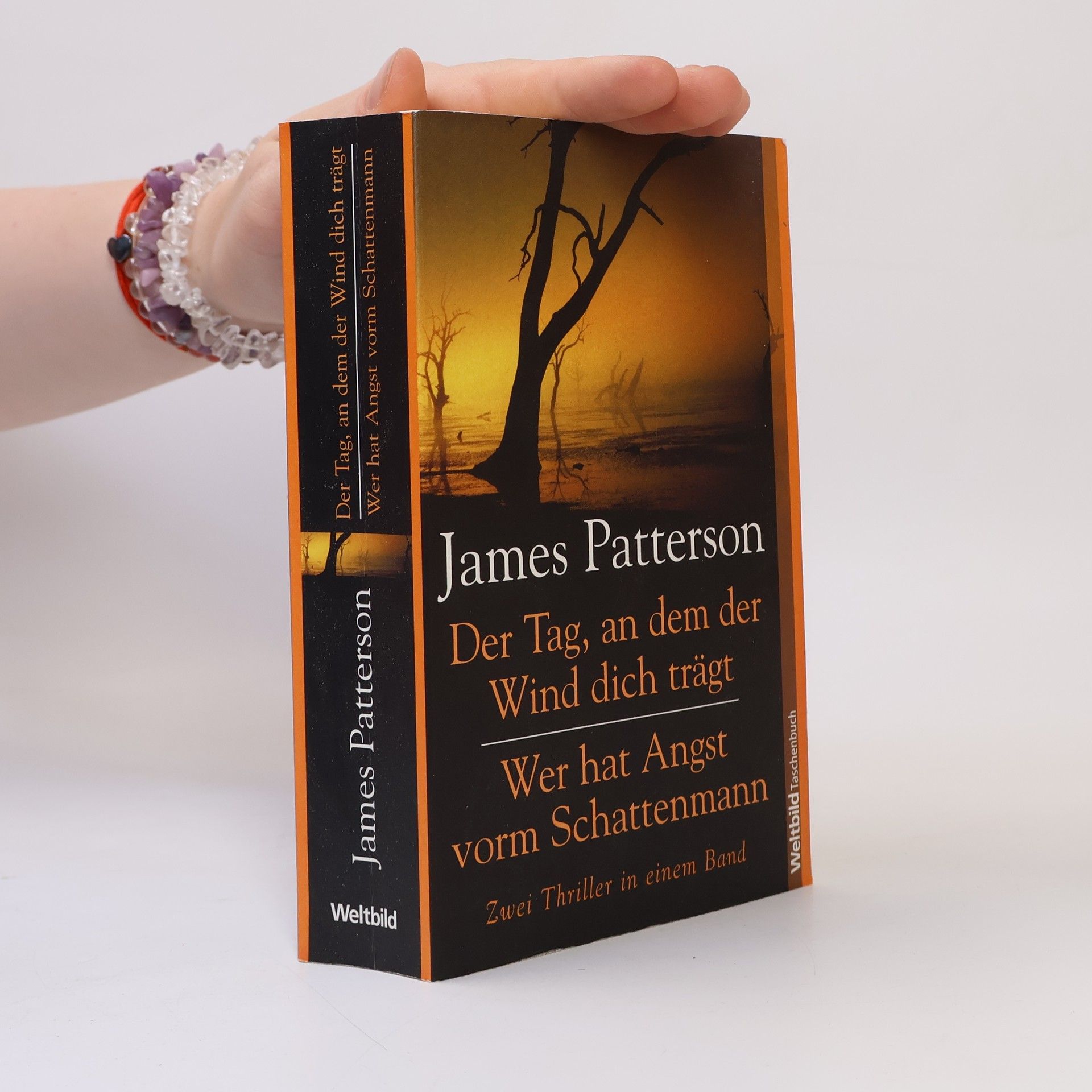 James Patterson Der Tag, an dem der Wind dich trägt