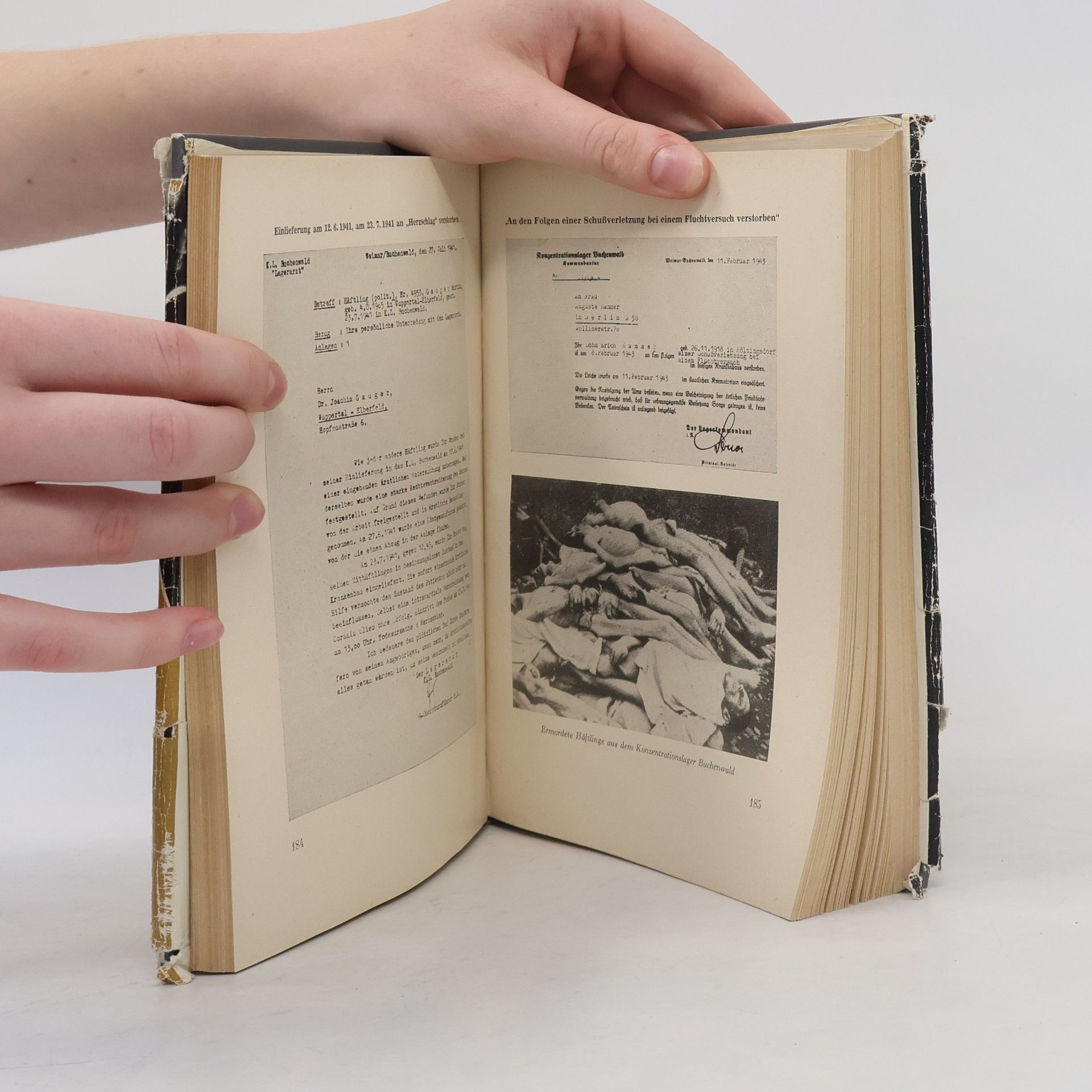 Autores varios SS im Einsatz