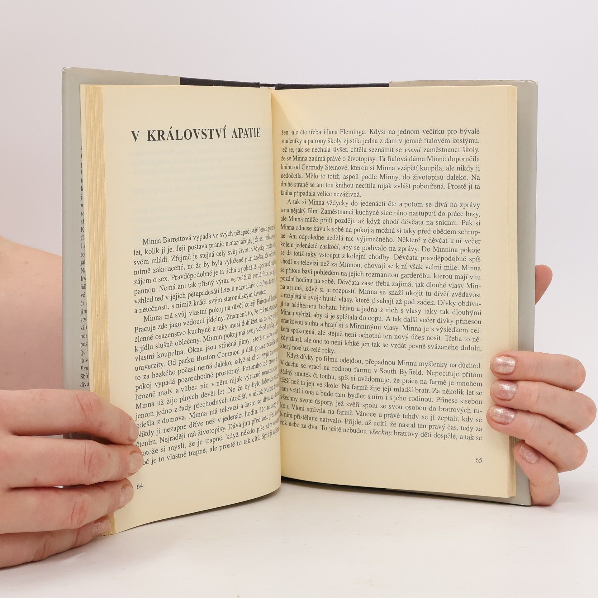 John Irving Pokus o záchranu Čuňáka Sneeda