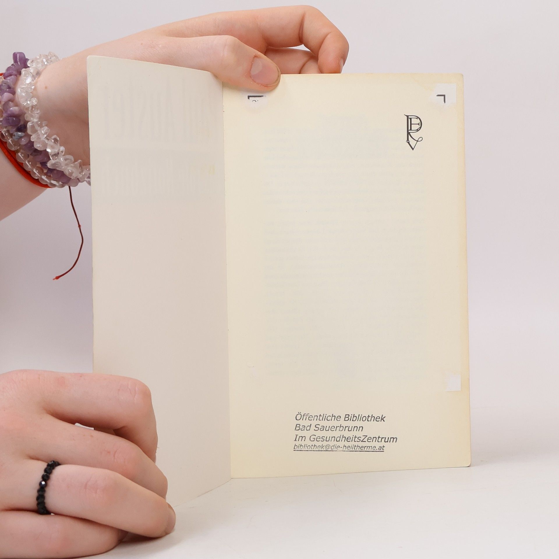 Paul Auster Das rote Notizbuch