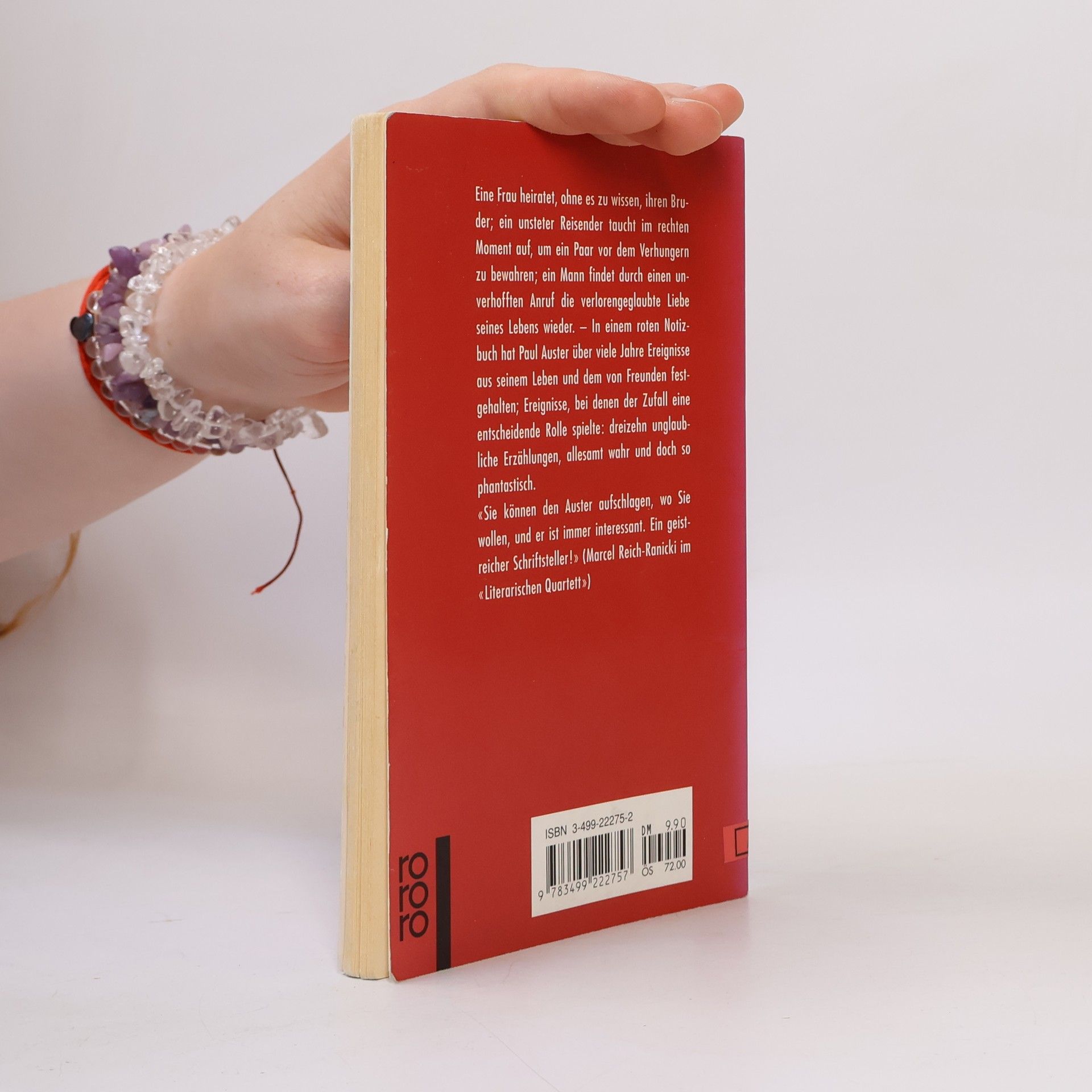 Paul Auster Das rote Notizbuch