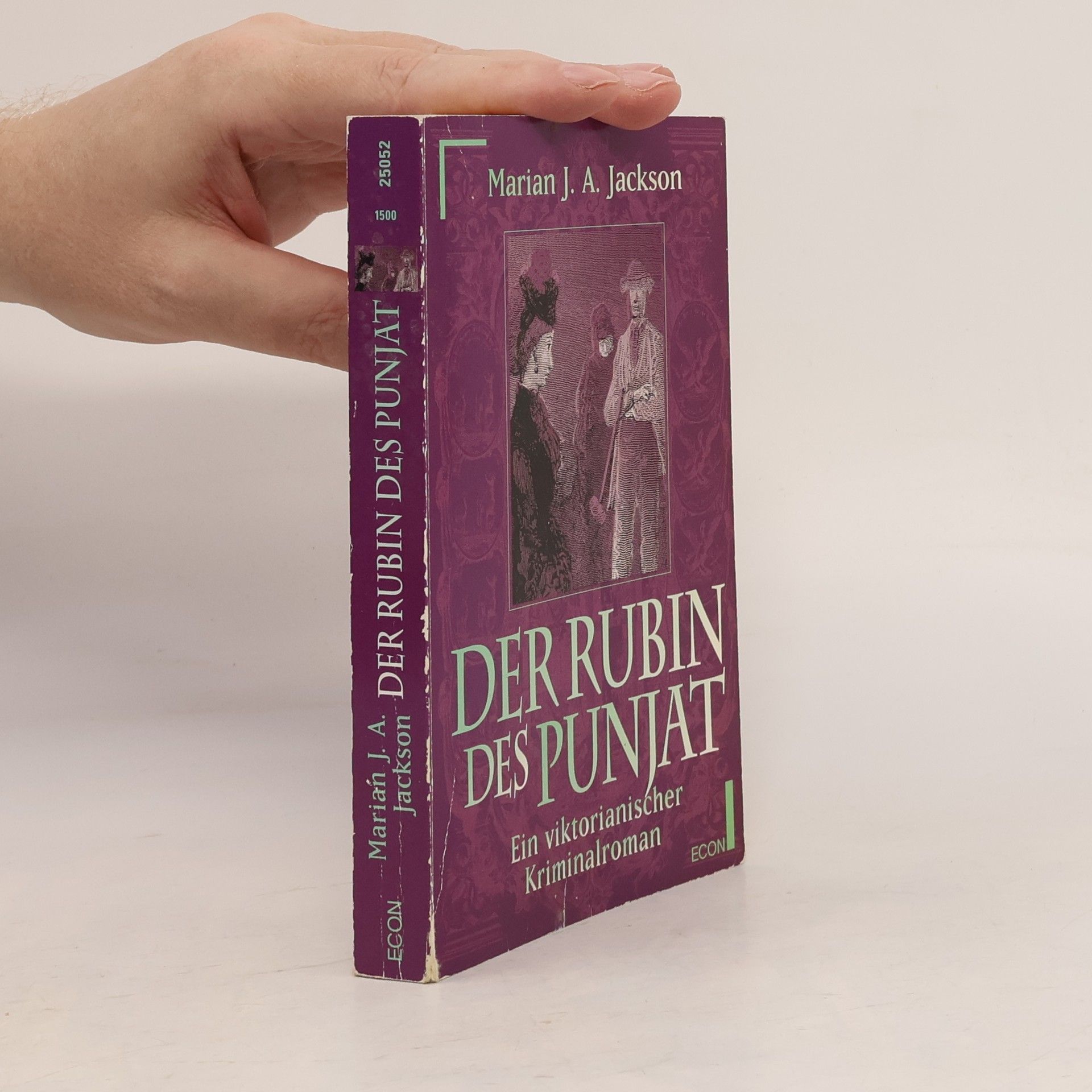 Marian J. A. Jackson Der Rubin des Punjat