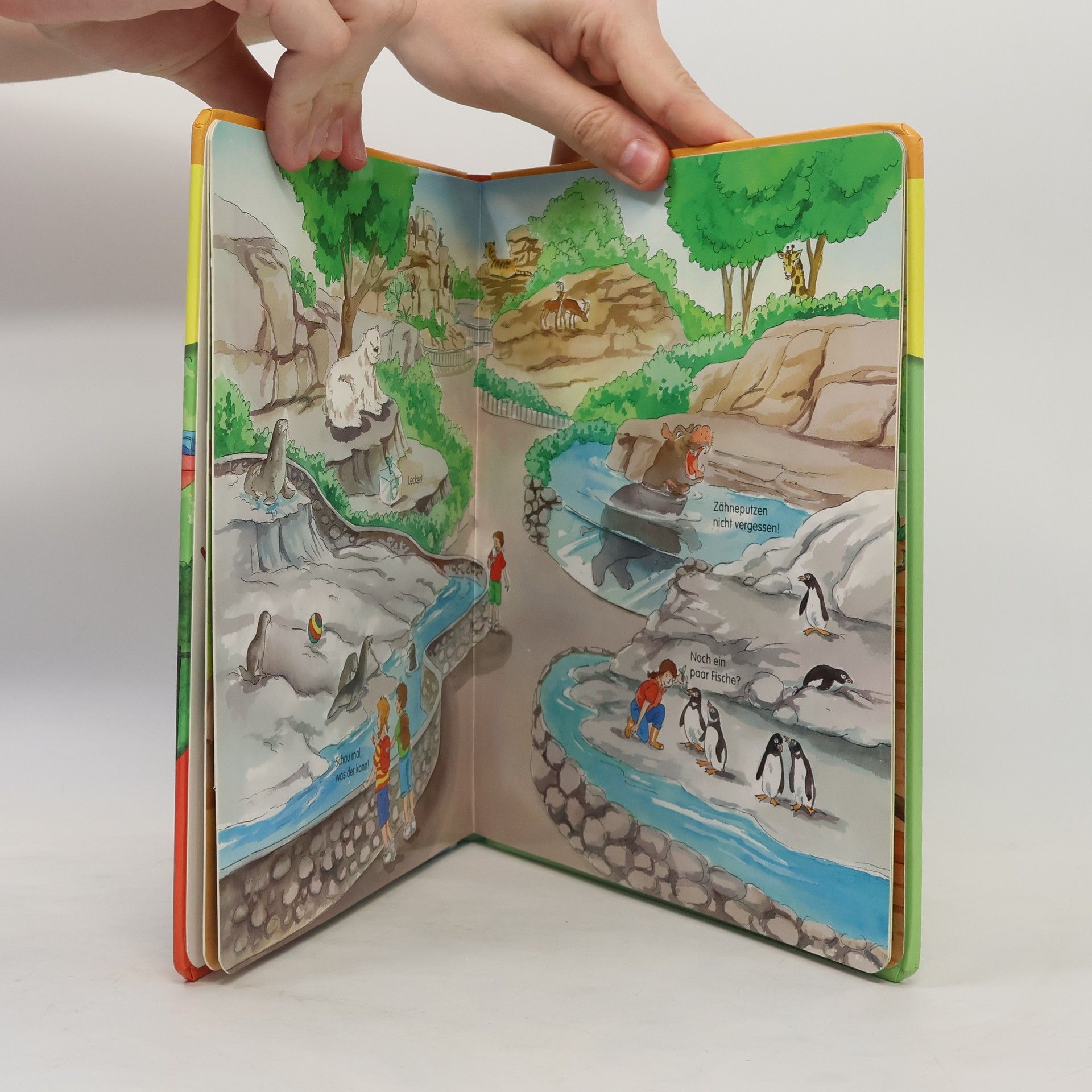 Daniela Pohle Tiere im ZOO. Magnet-Spiel-Buch