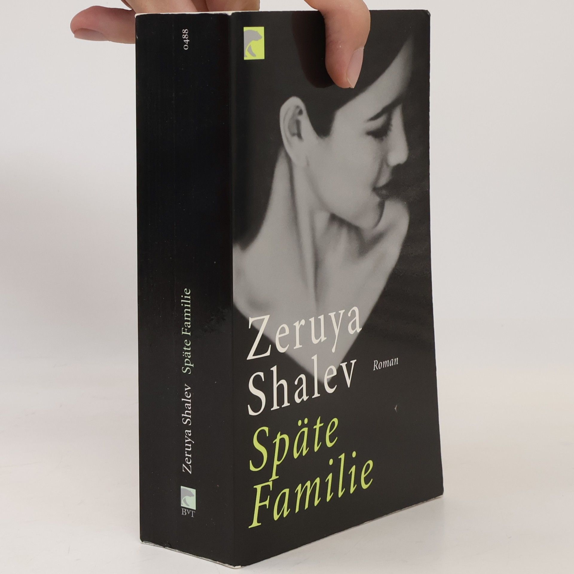 Zeruya Shalev Späte Familie