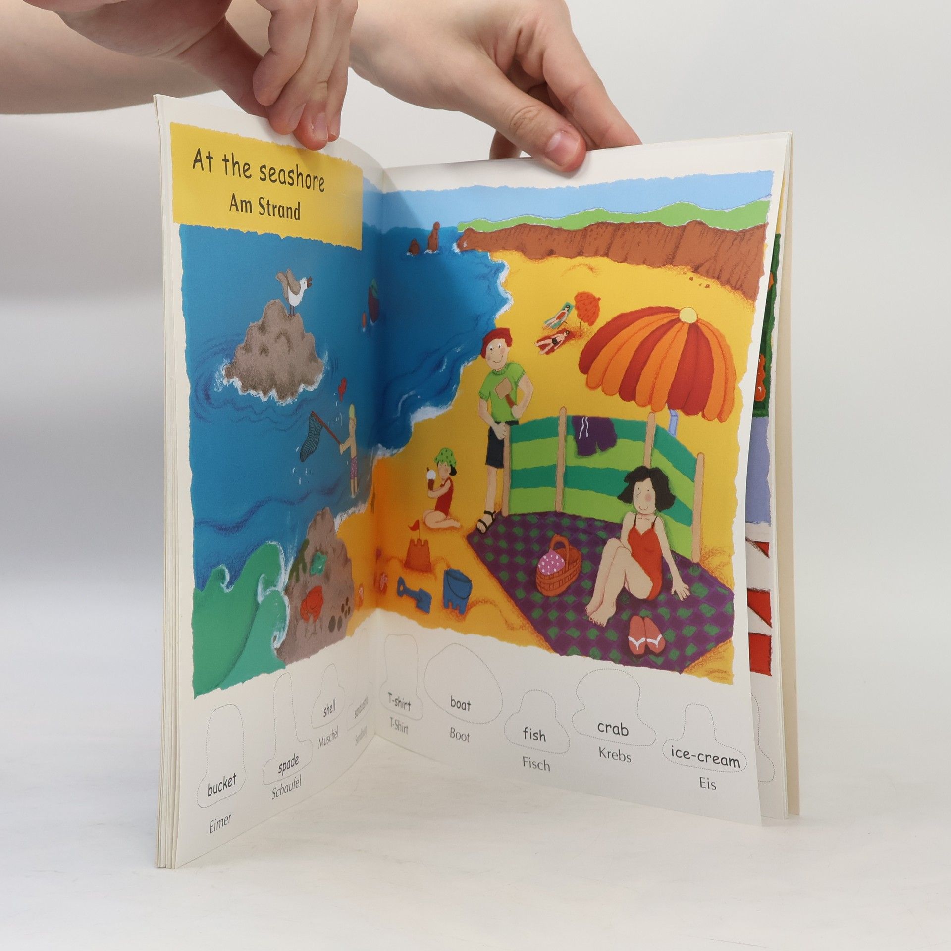 Various authors Meine 100 ersten Wörter Englisch