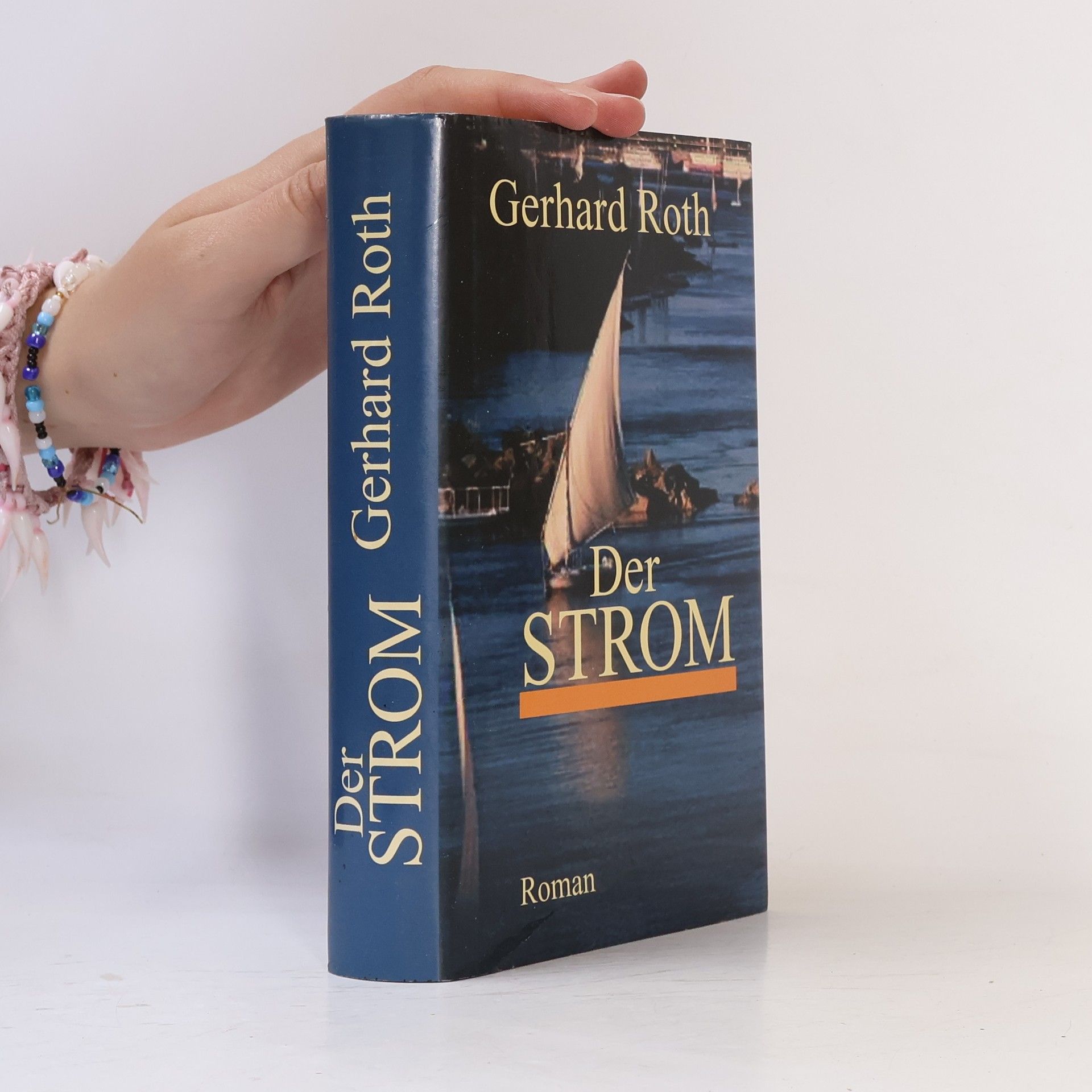 Gerhard Roth Der Strom