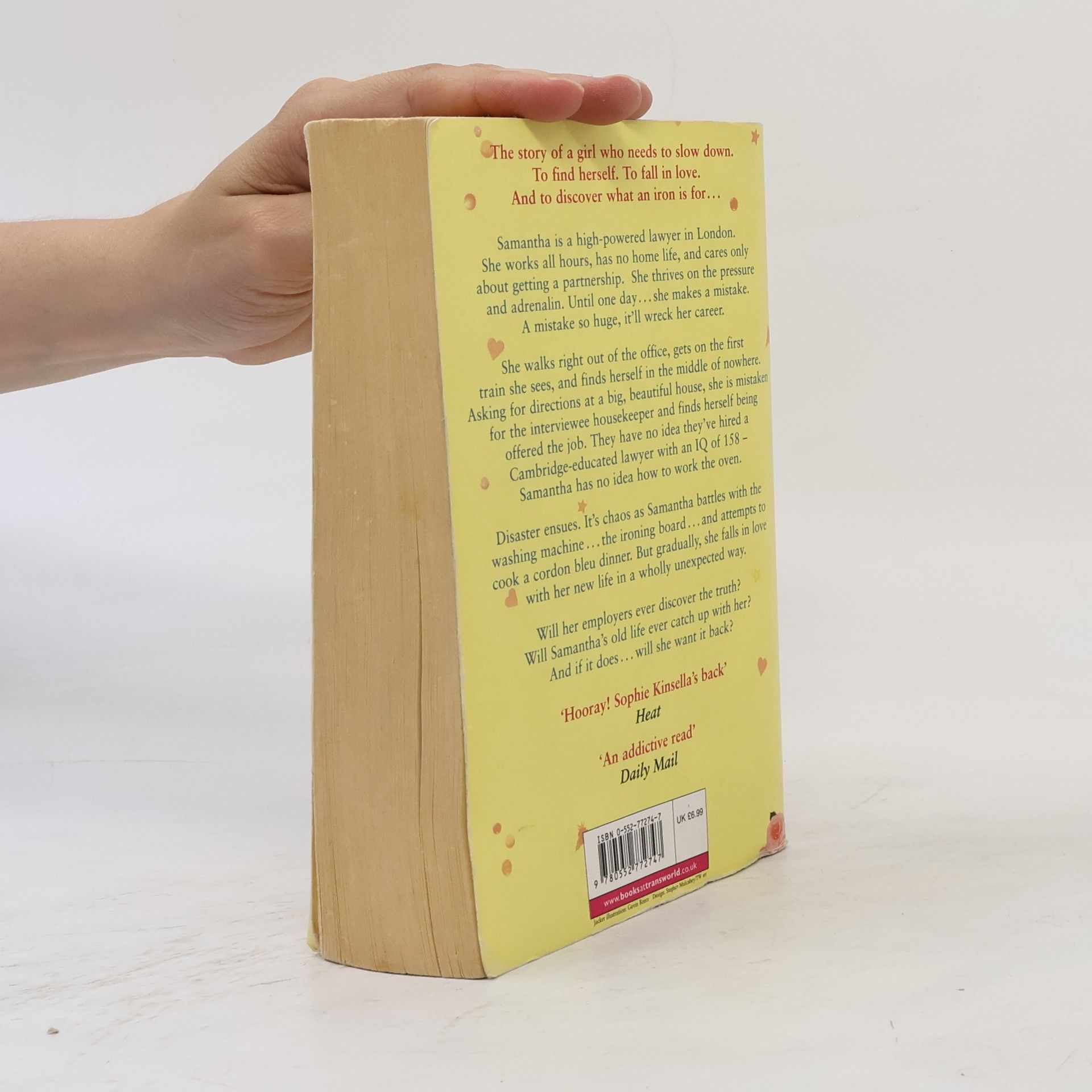 Sophie Kinsella The undomestic goddess