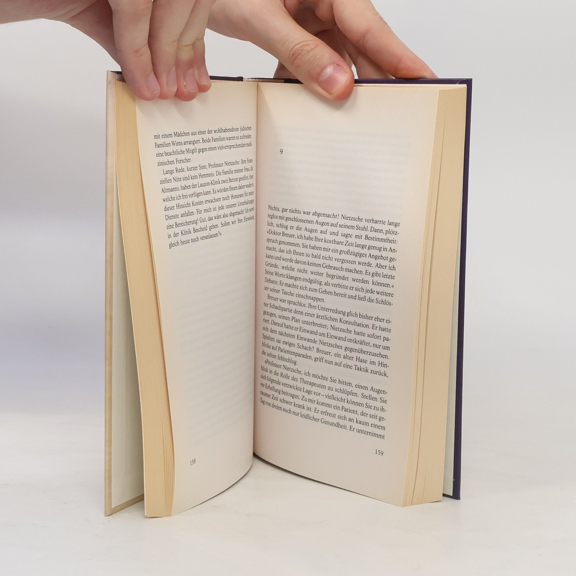 Irvin Yalom Und Nietzsche weinte