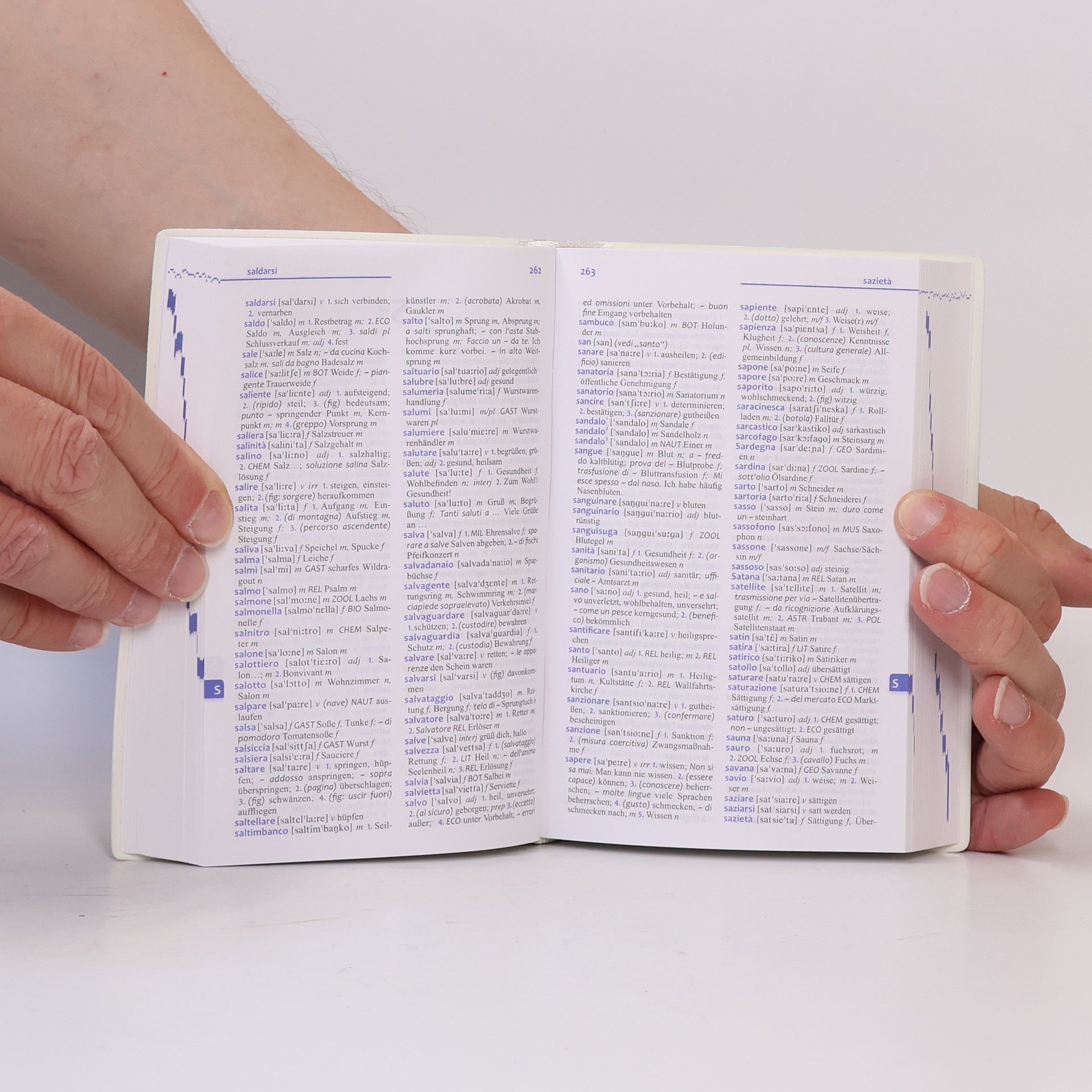 Collectif d'auteurs Italienisch Wörterbuch