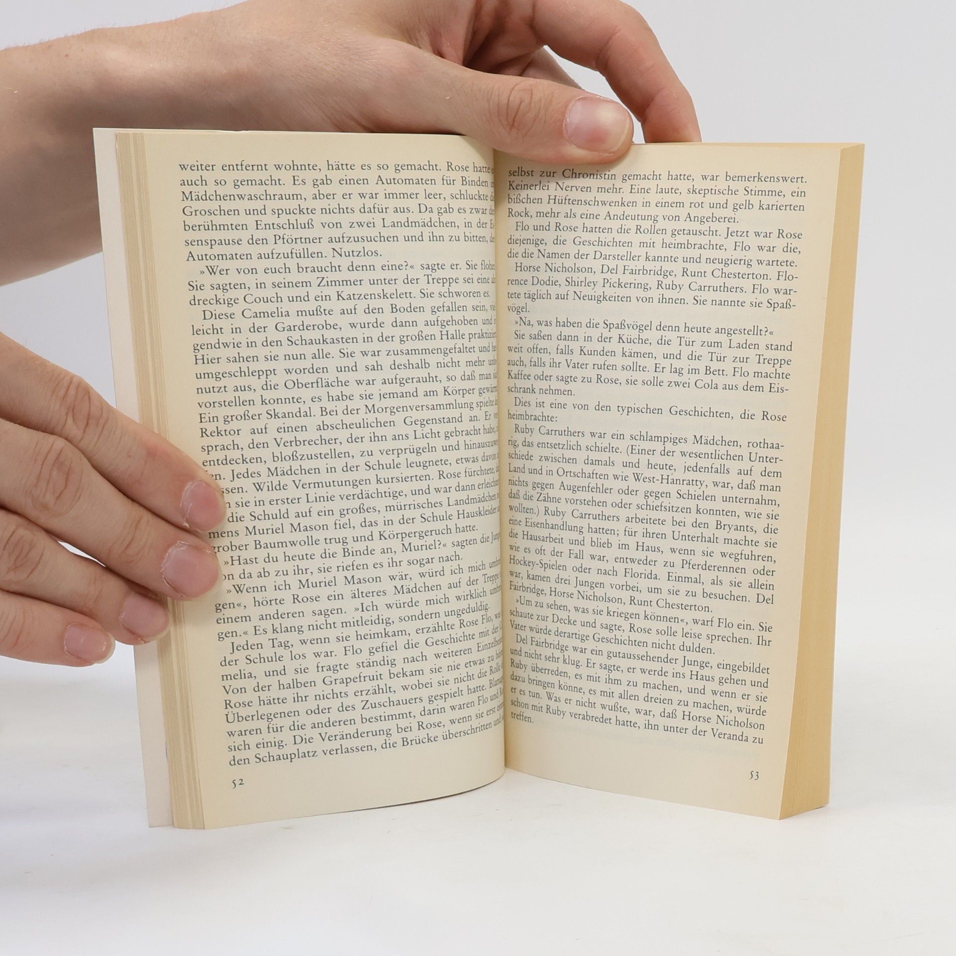 Alice Munro Das Bettlermädchen