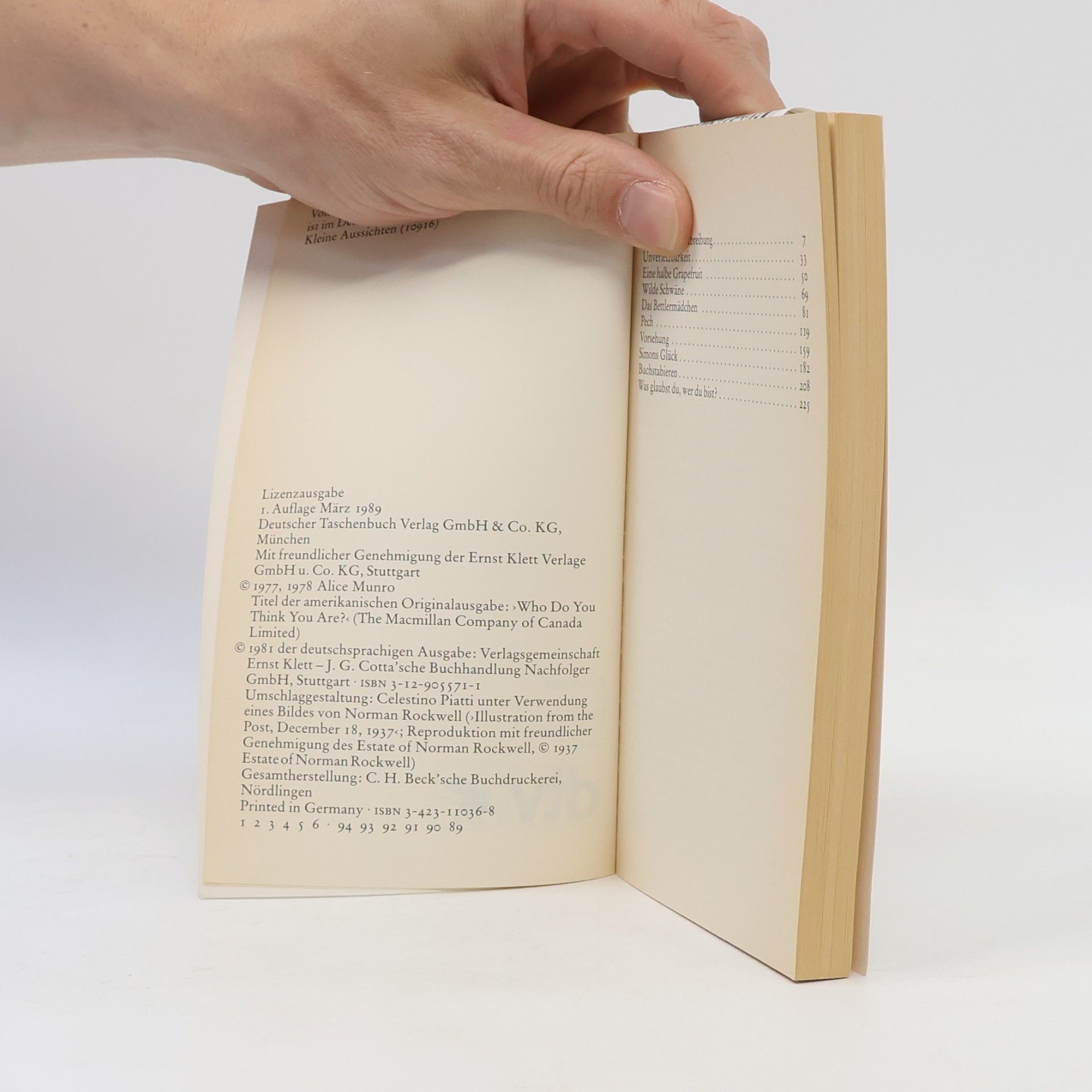 Alice Munro Das Bettlermädchen