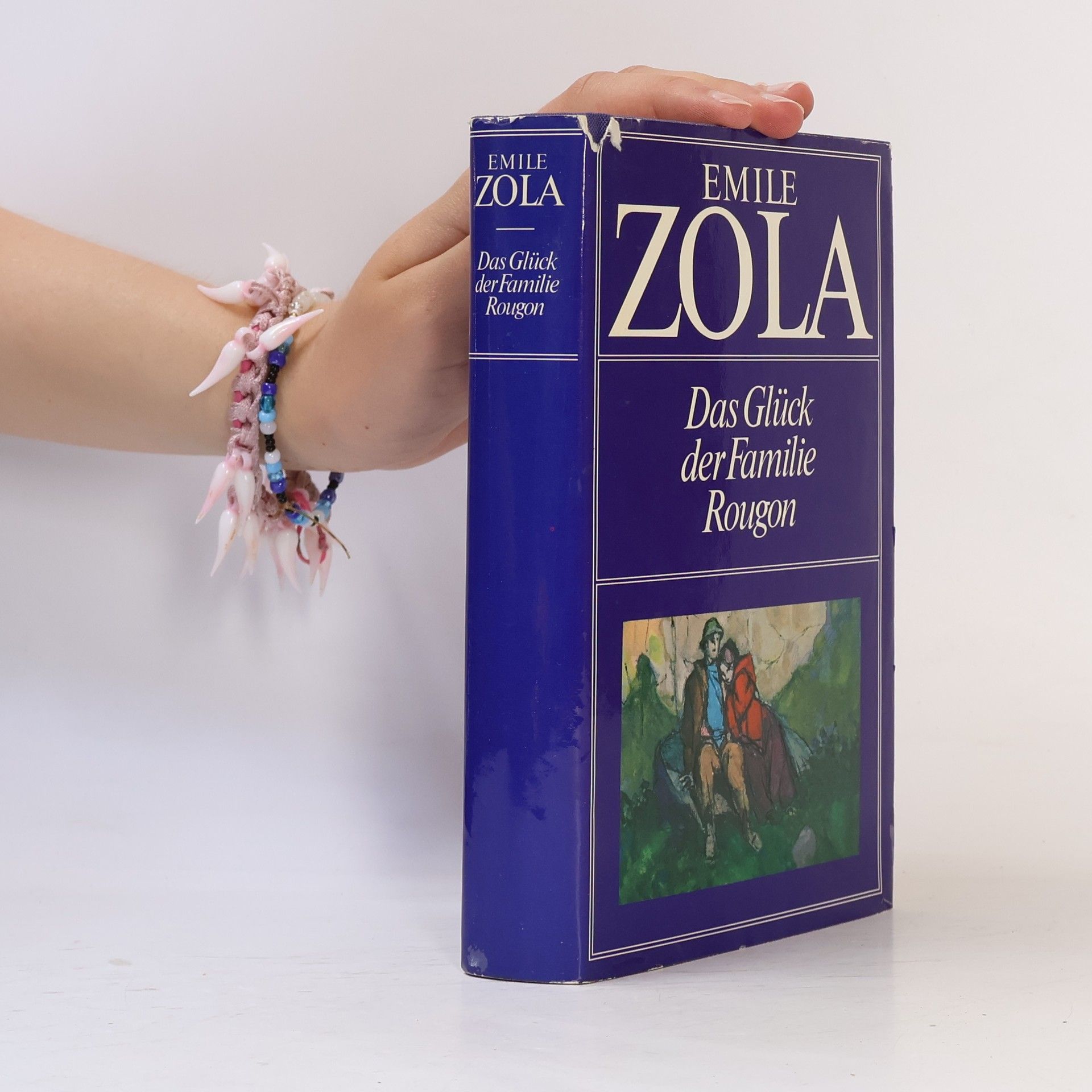 Émile Zola Das Glück der Familie Rougon