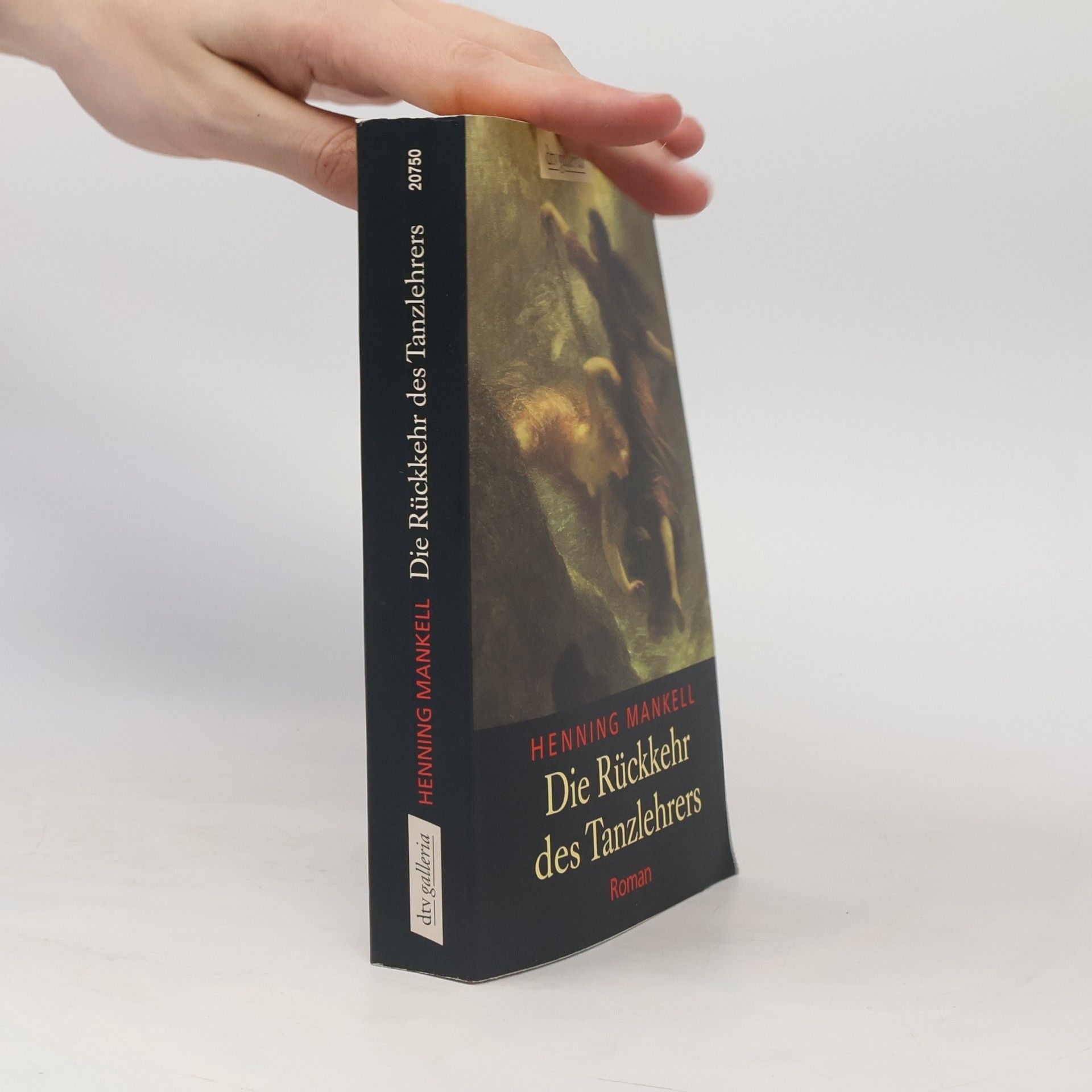 Henning Mankell Die Rückkehr des Tanzlehrers