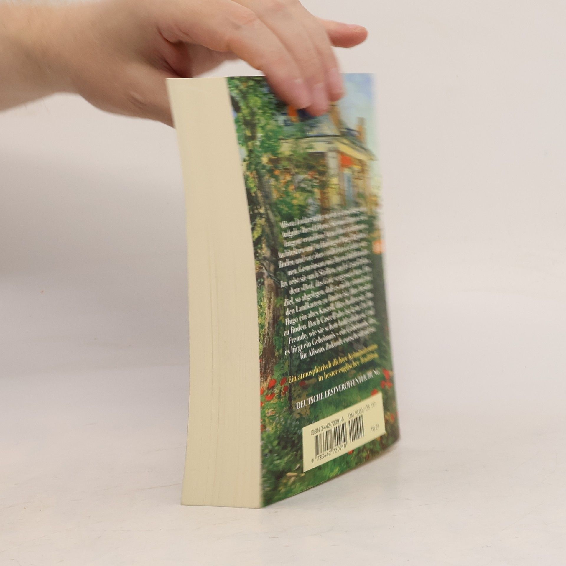 Caroline Llewellyn Frau im Labyrinth