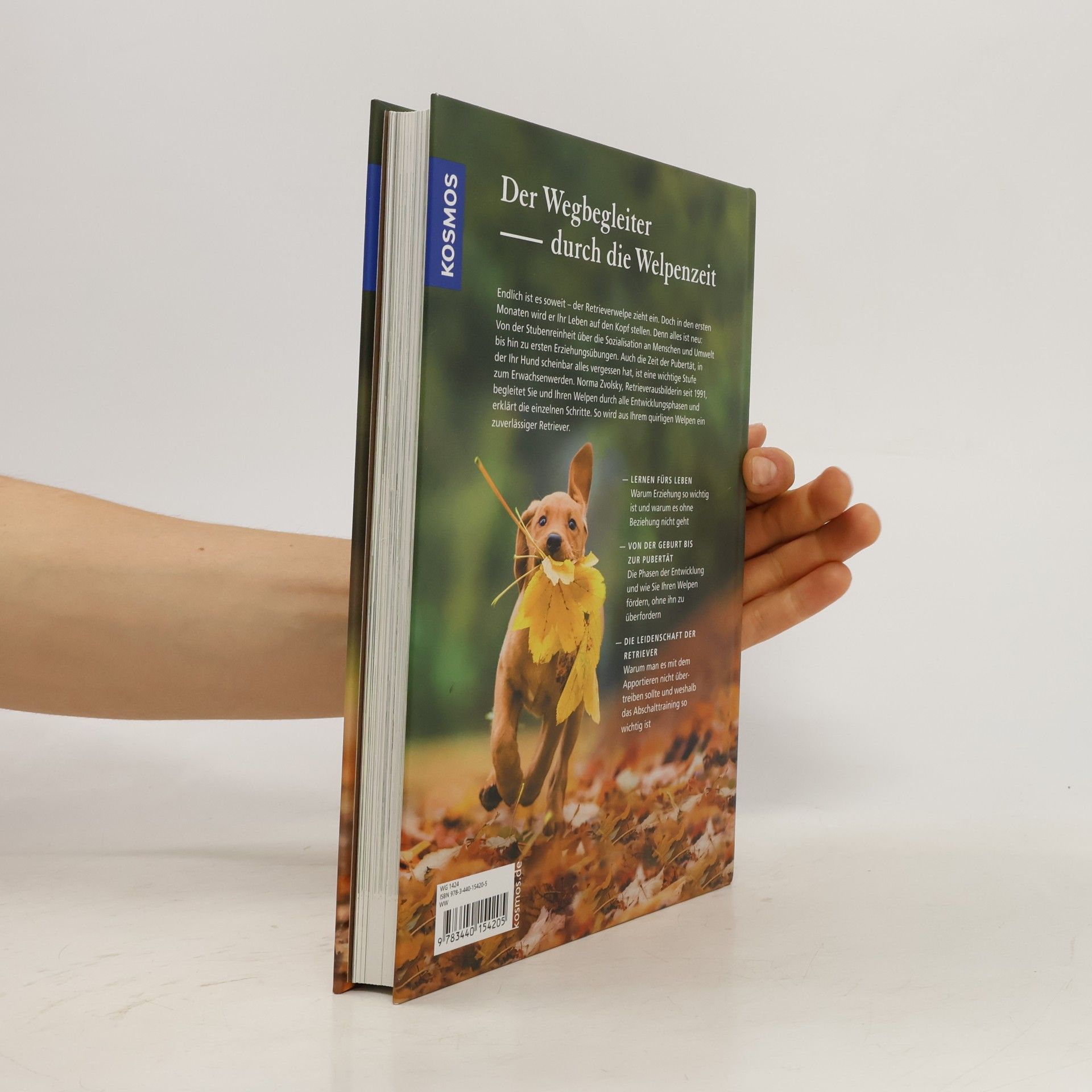 Norma Zvolsky Retriever-Schule für Welpen