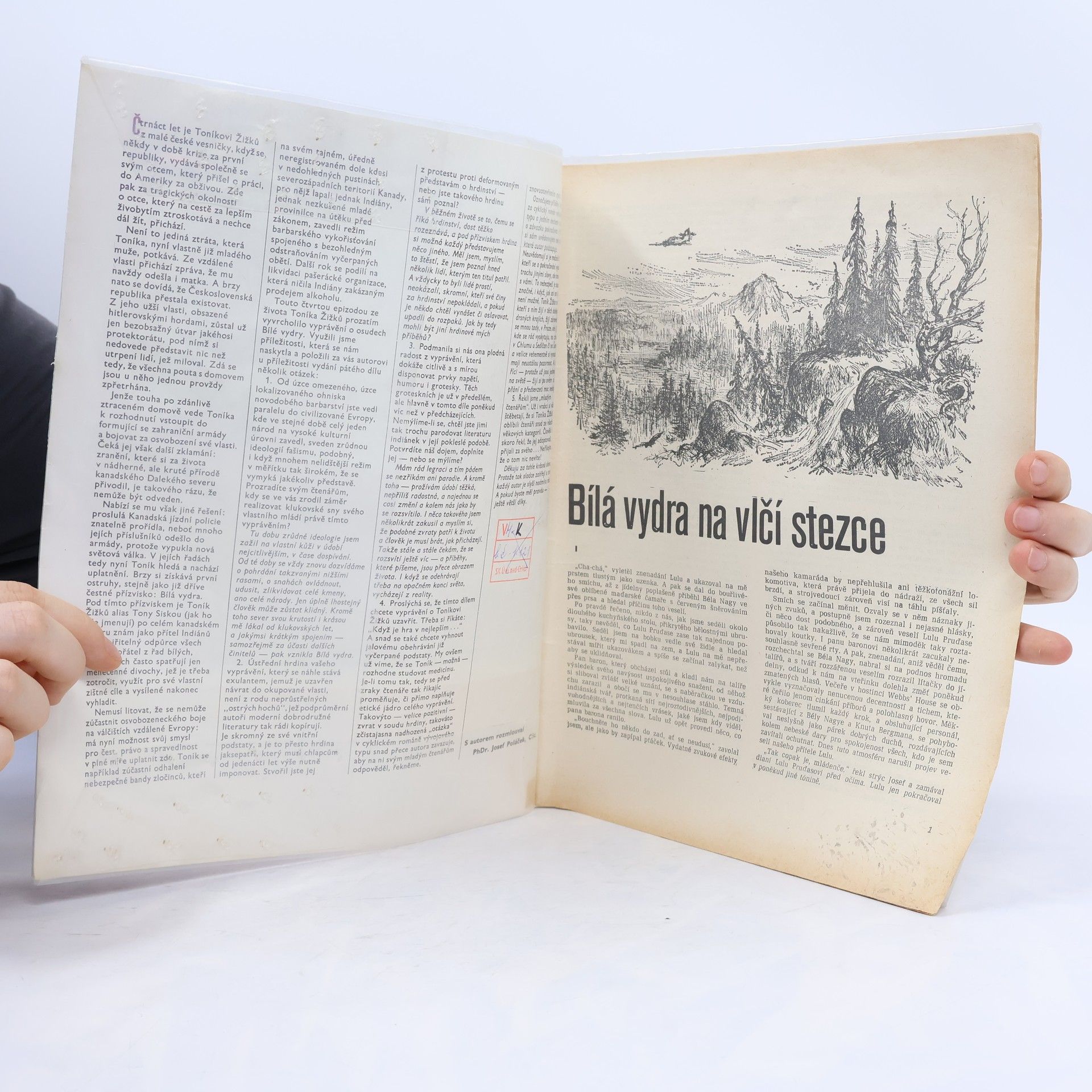 Josef Kutík Karavana č. 186. Bílá vydra na vlčí stezce