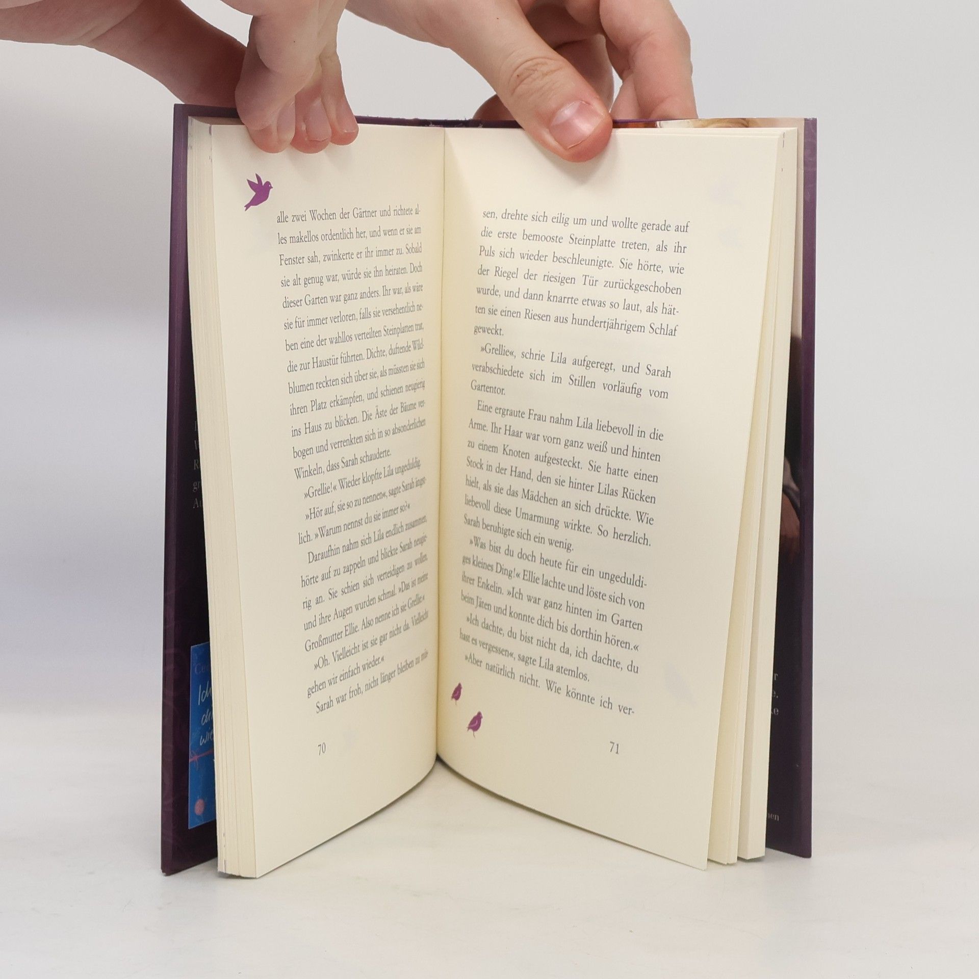 Cecelia Ahern Solange du mich siehst