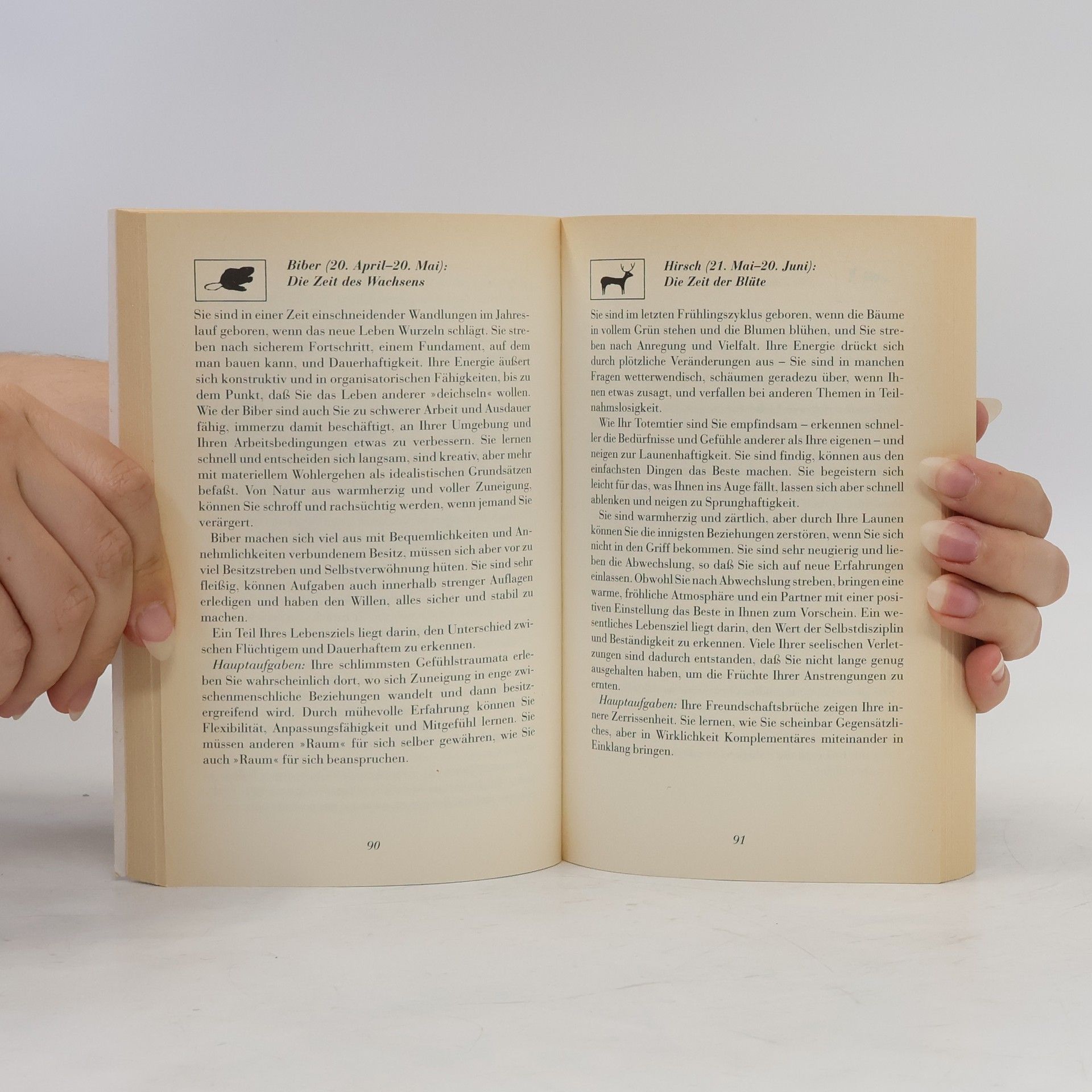 Kenneth Meadows Das Buch des Schamanismus