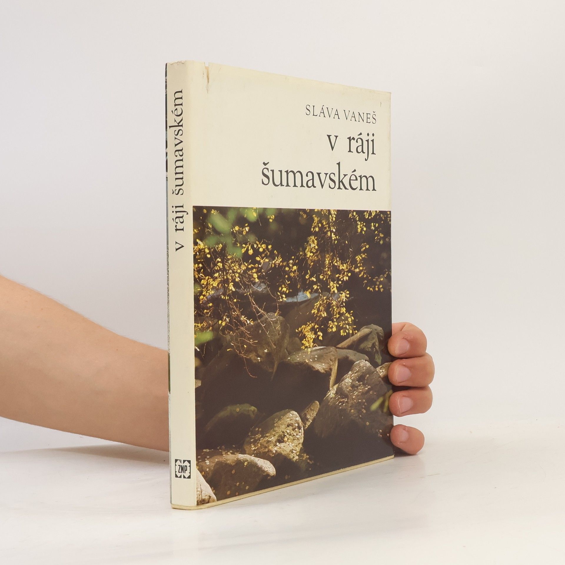 Vaneš Sláva V ráji šumavském