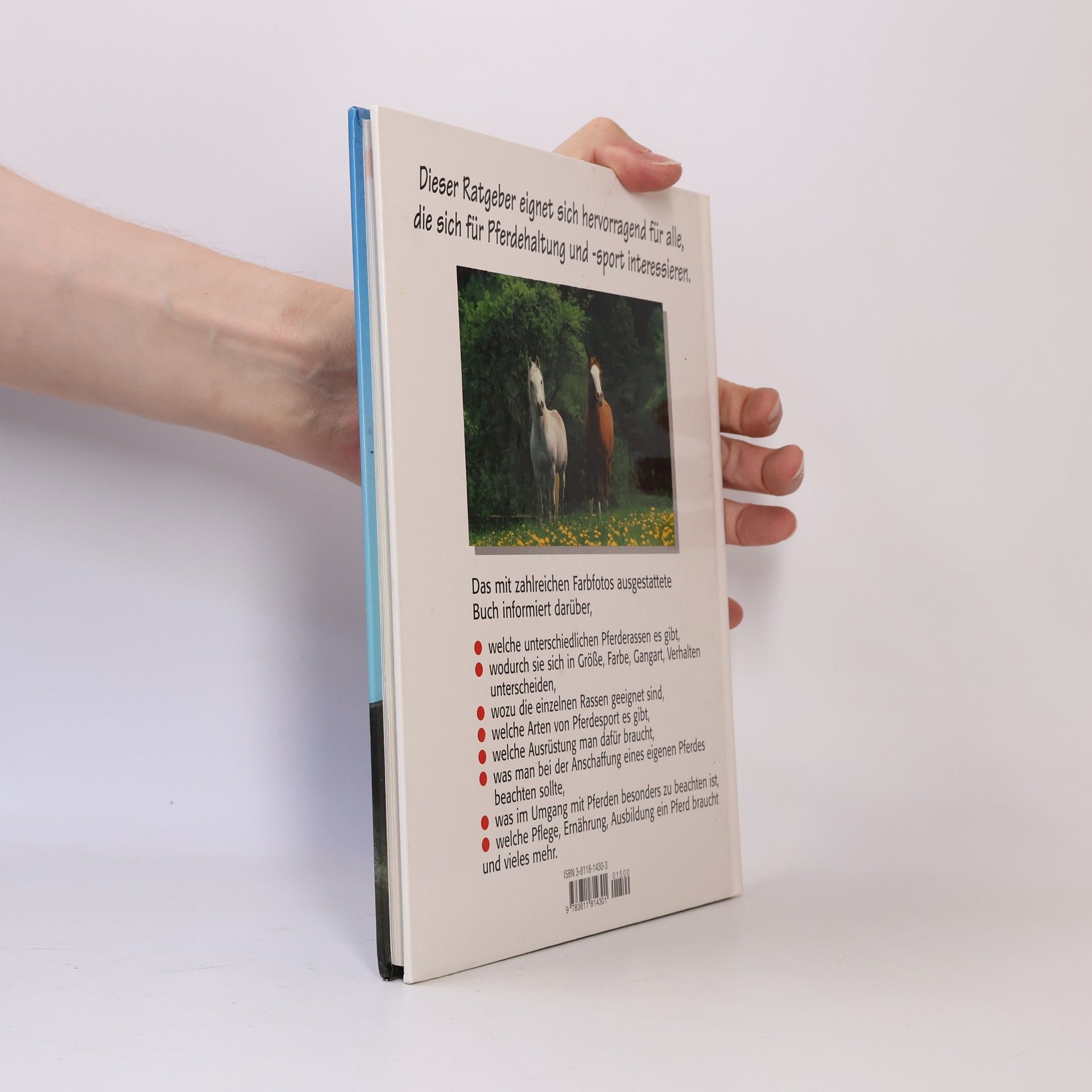 Autorenkollektiv Das große illustrierte Buch der Pferde