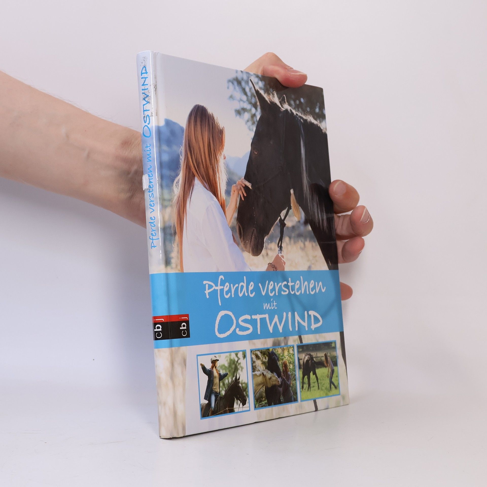 Almut Tina Schmidt Pferde verstehen mit Ostwind