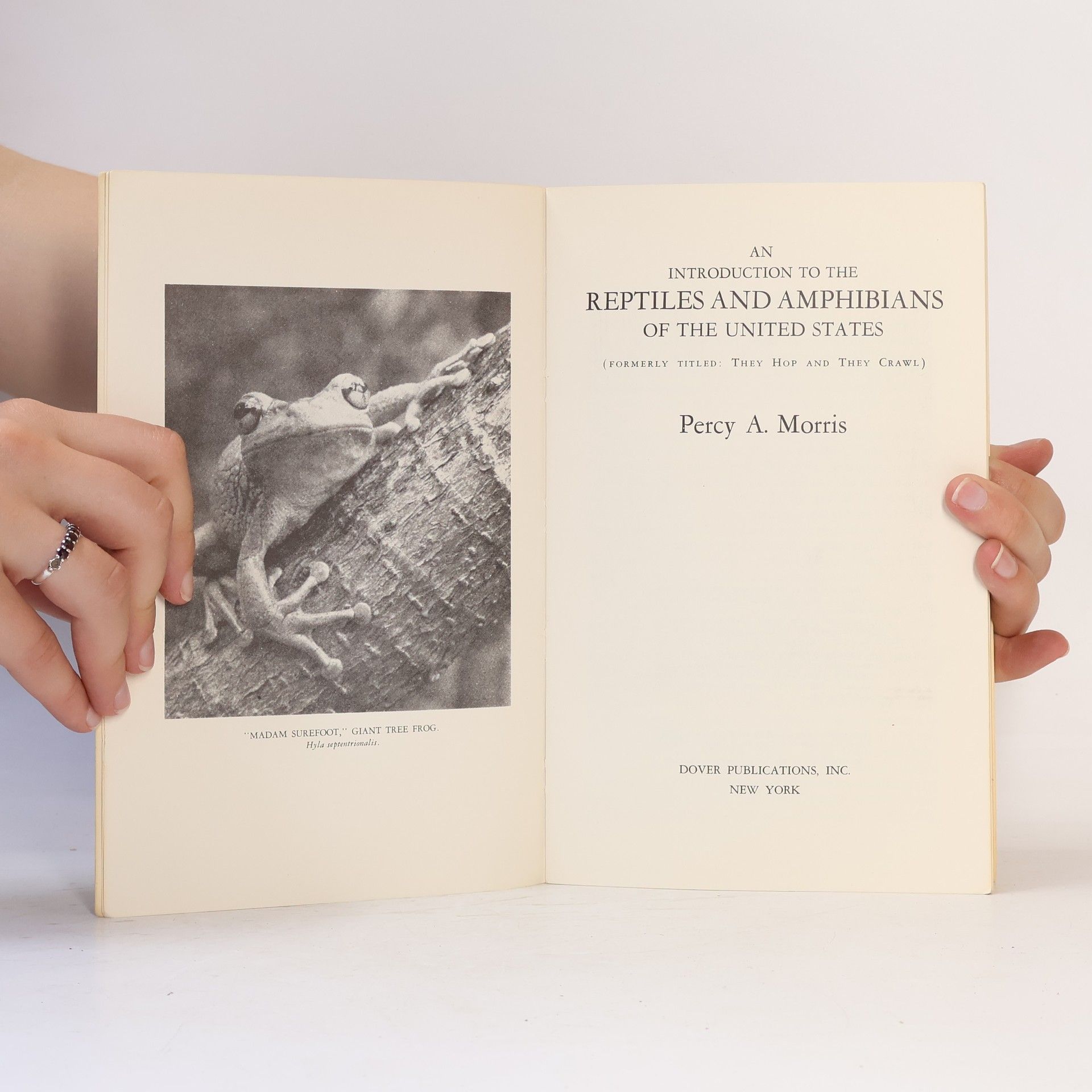 Percy A. Morris An Introduction to the Reptiles and Amphibians of the United States