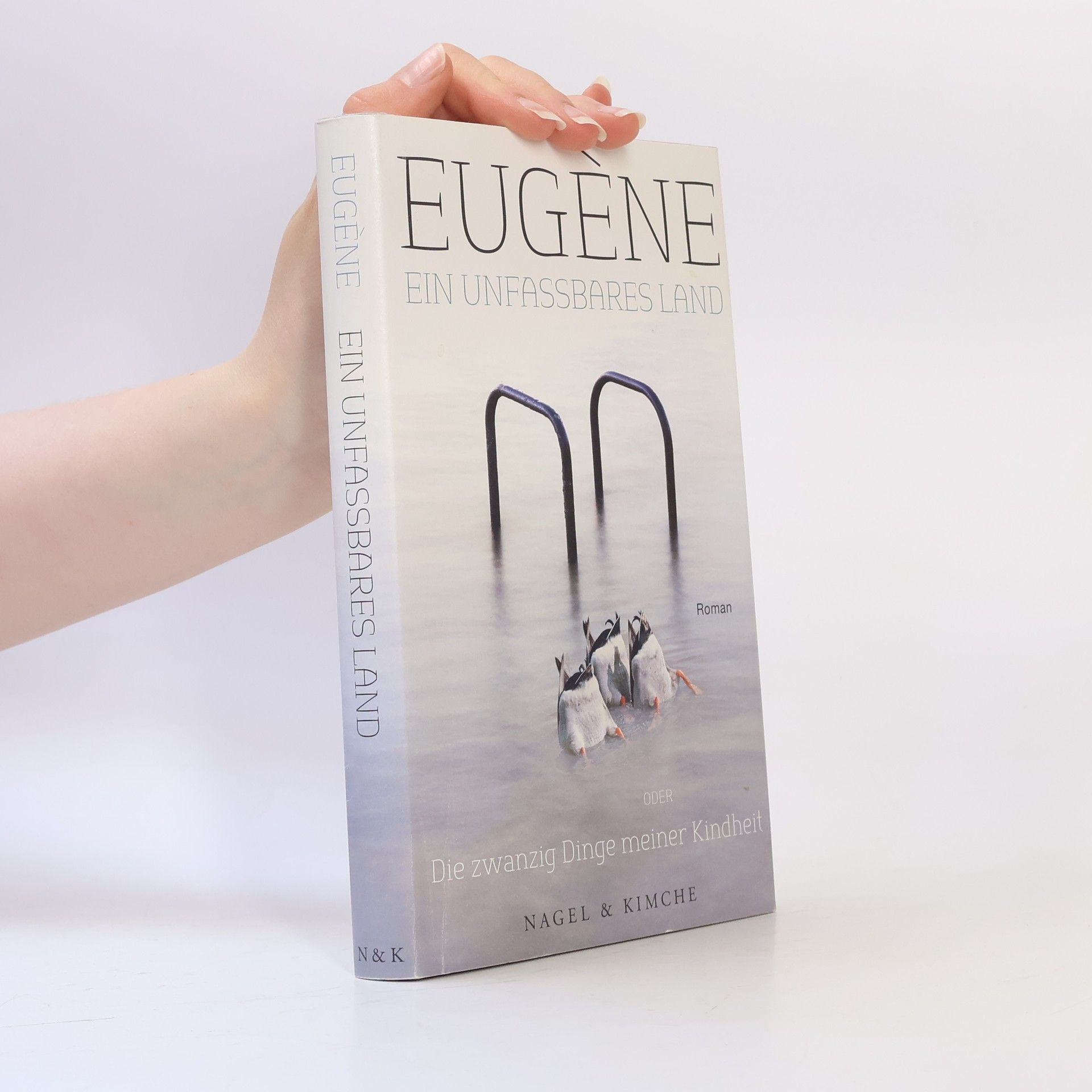 Eugène Ein unfassbares Land
