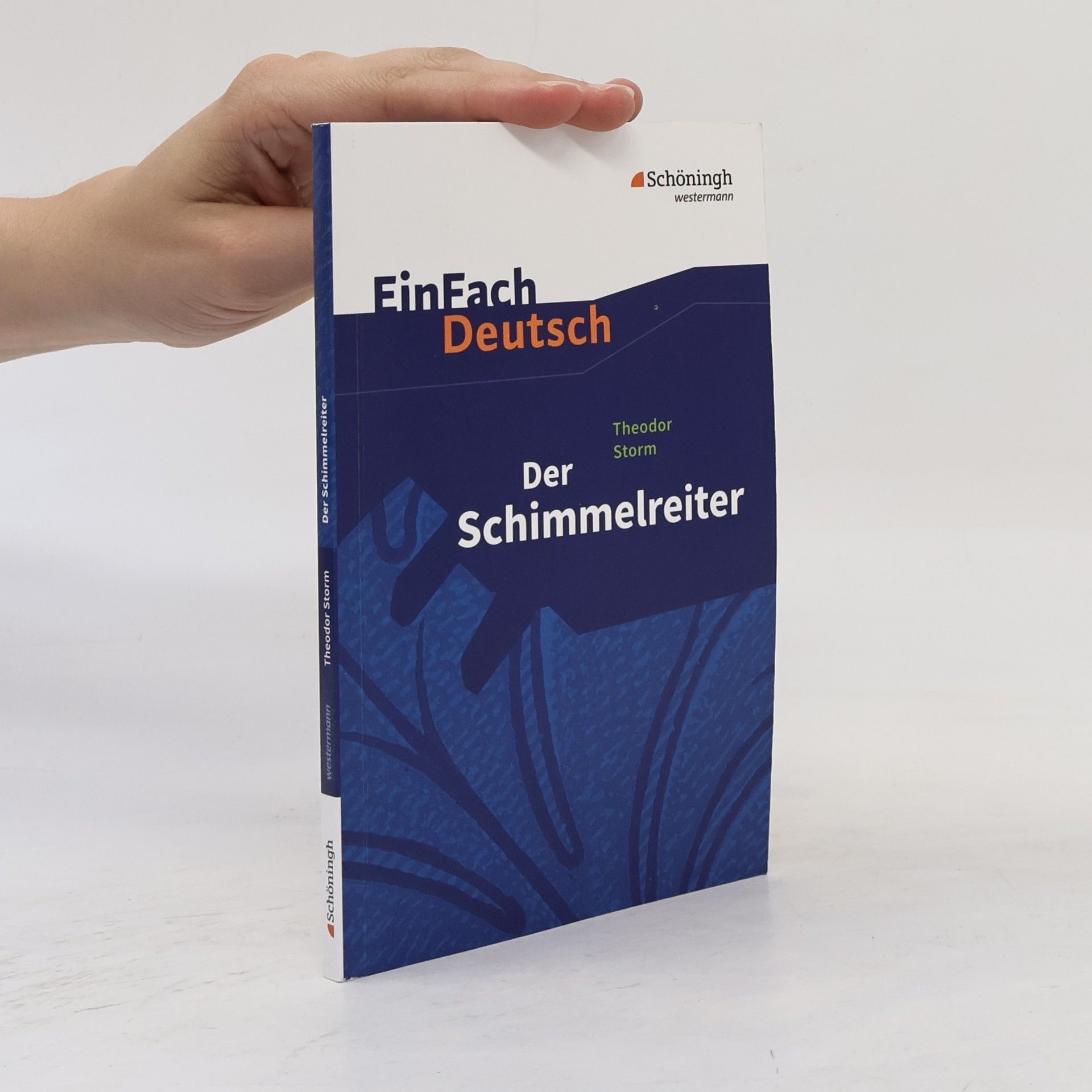 Theodor Storm Der Schimmelreiter