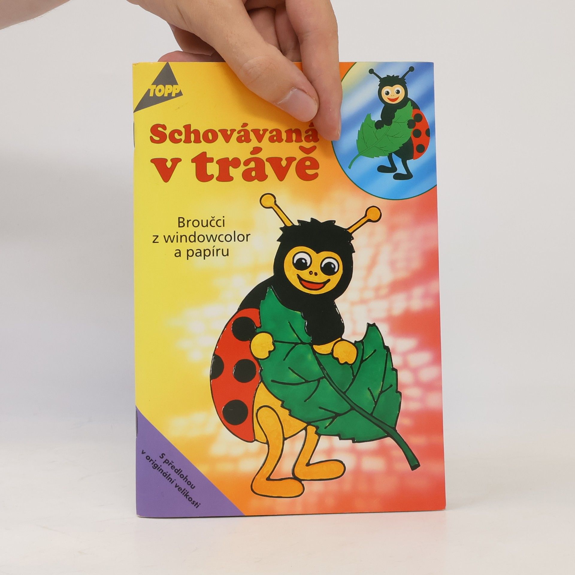 Armin Täubner Schovávaná v trávě : broučci z windowcolor a papíru