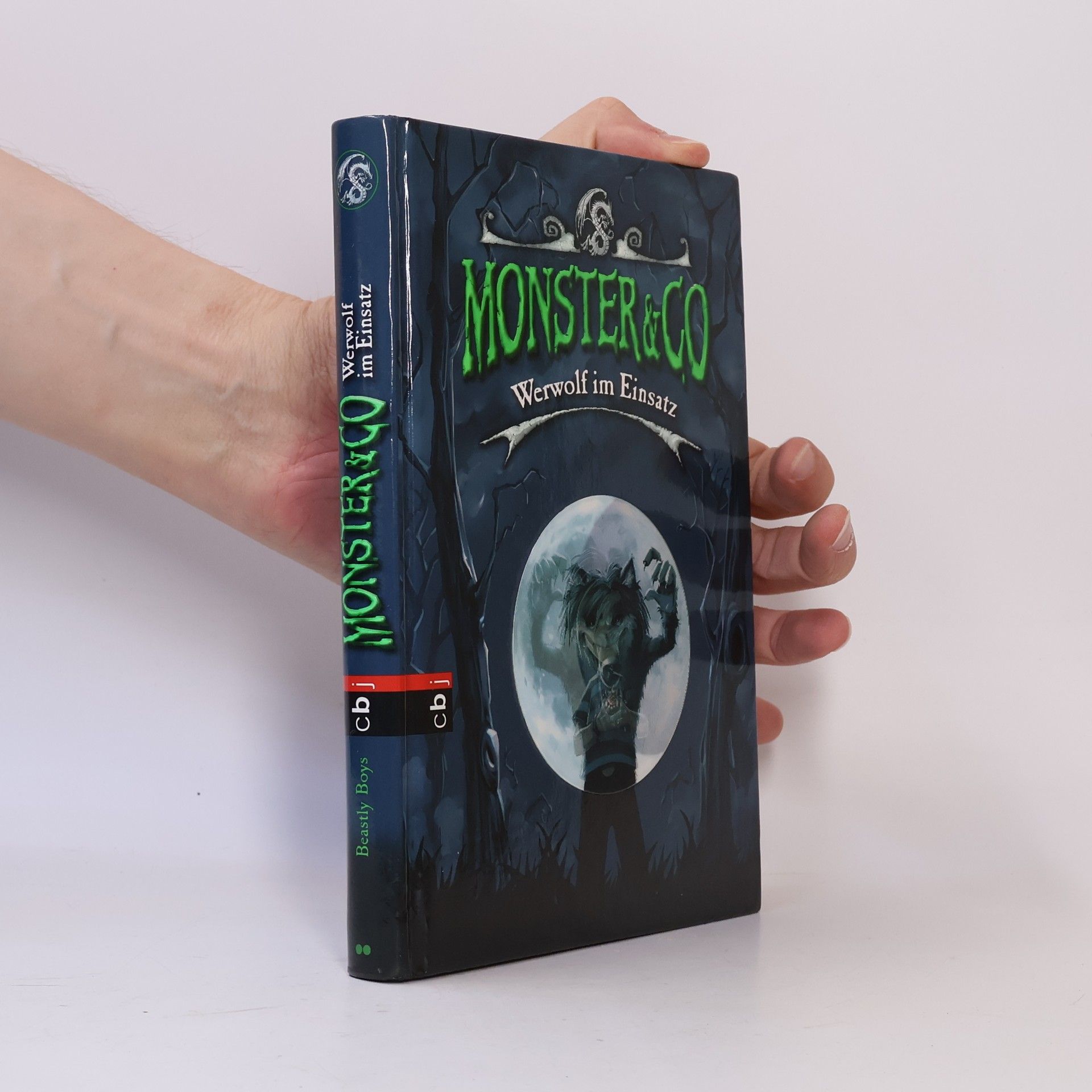 Beastly Boys Monster & Co 1. Werwolf im Einsatz