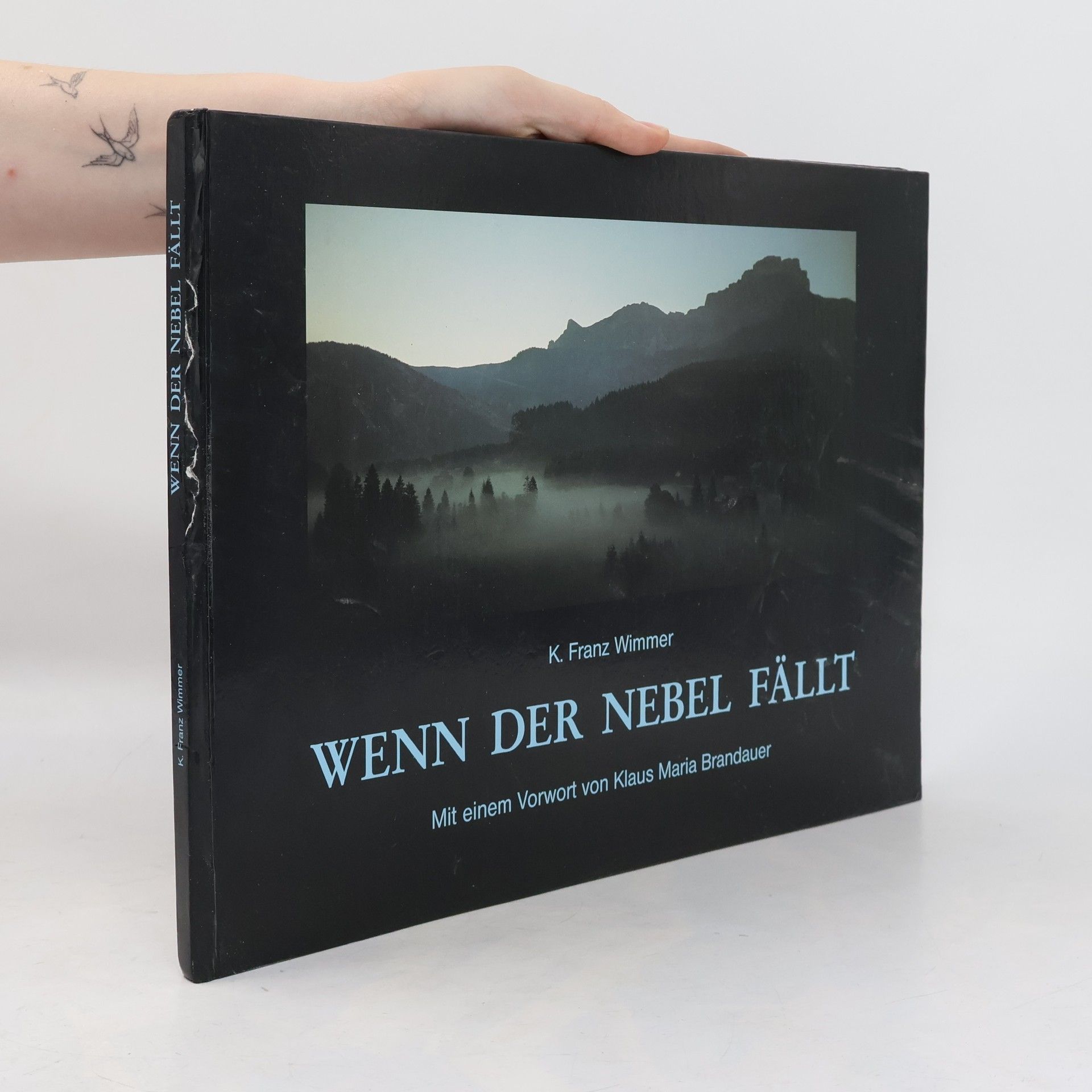 K. Franz Wimmer Wenn der Nebel fällt