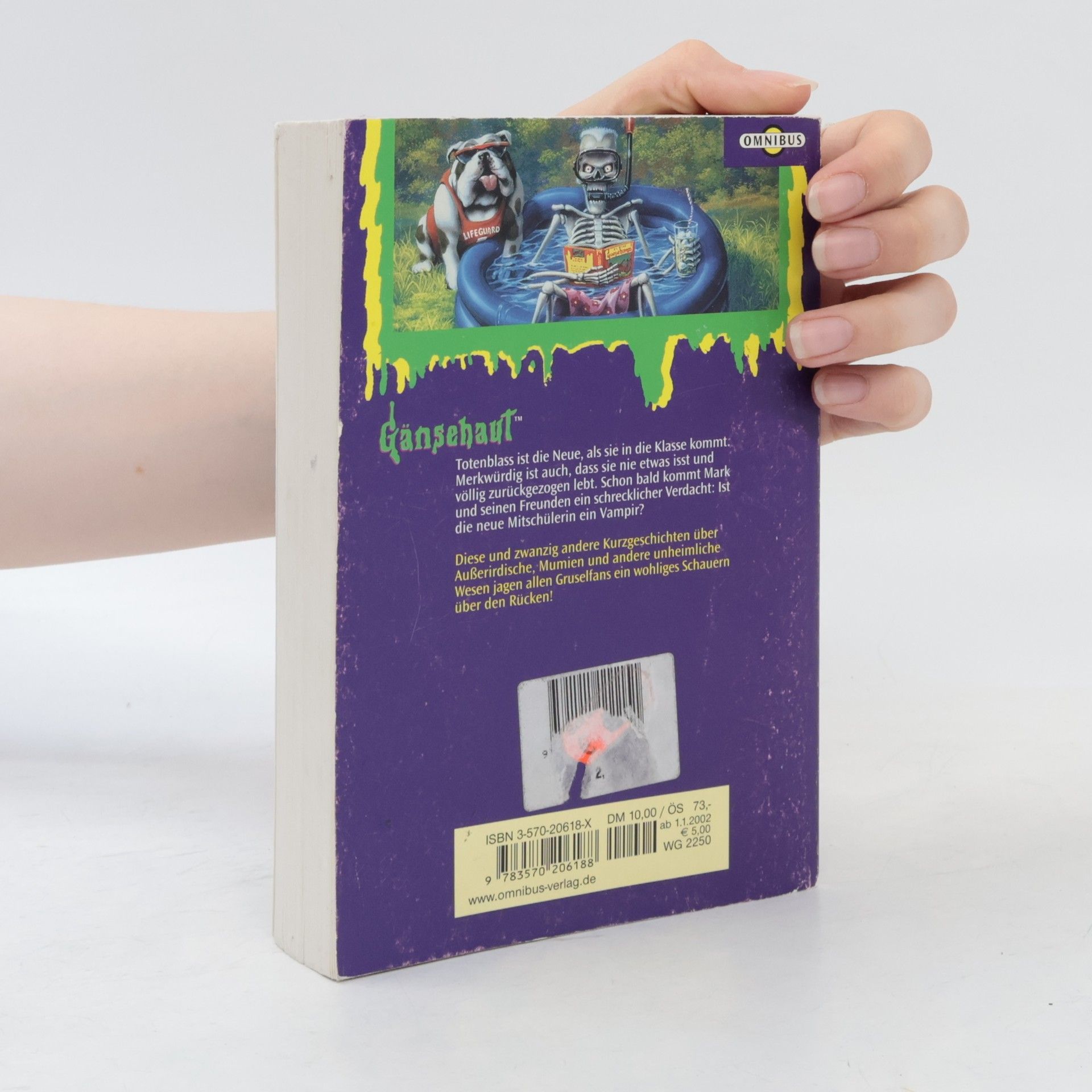 R. L. Stine Gänsehaut. Schauergeschichten