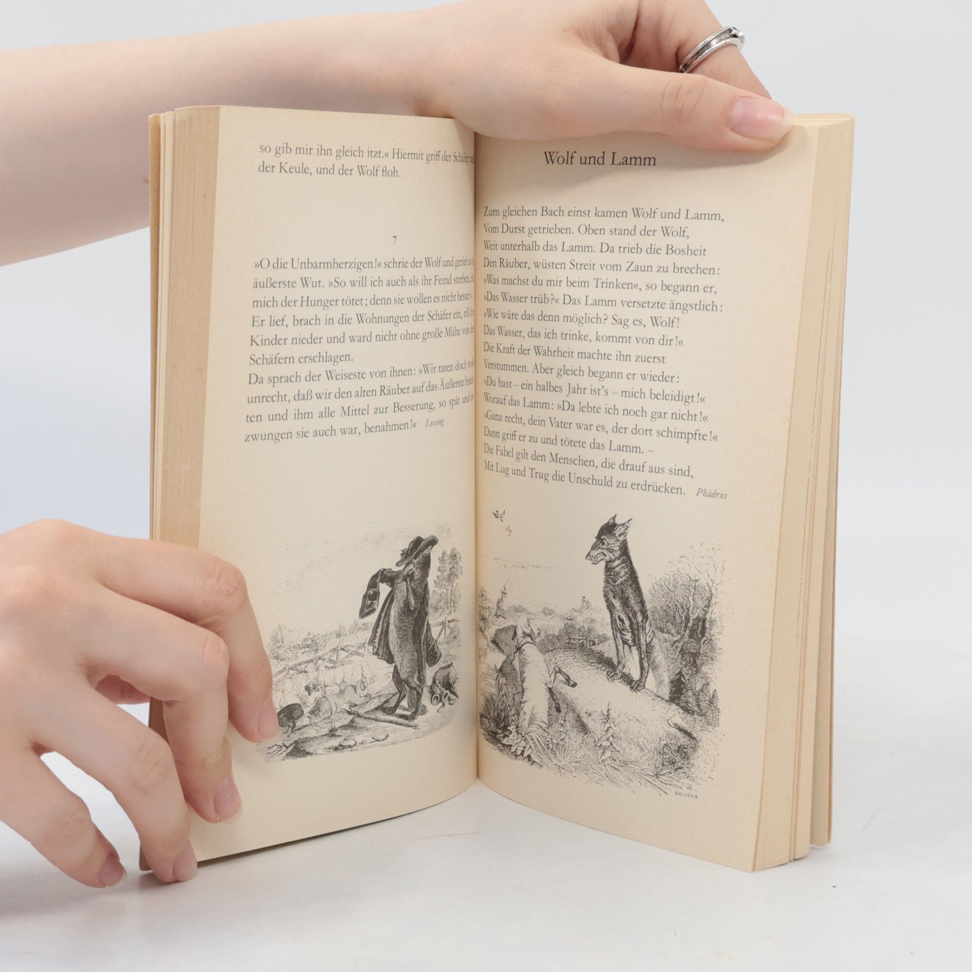 Autores varios Der Löwe und die Maus