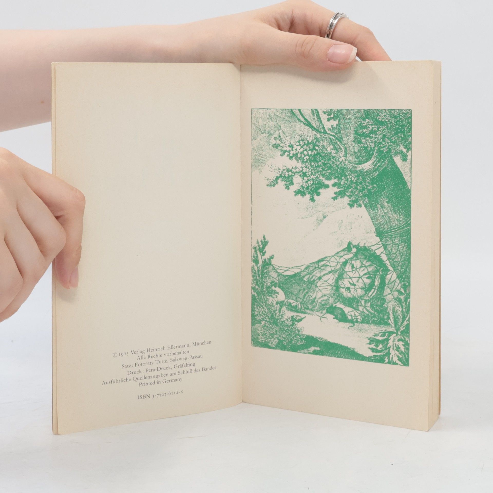 Autores varios Der Löwe und die Maus