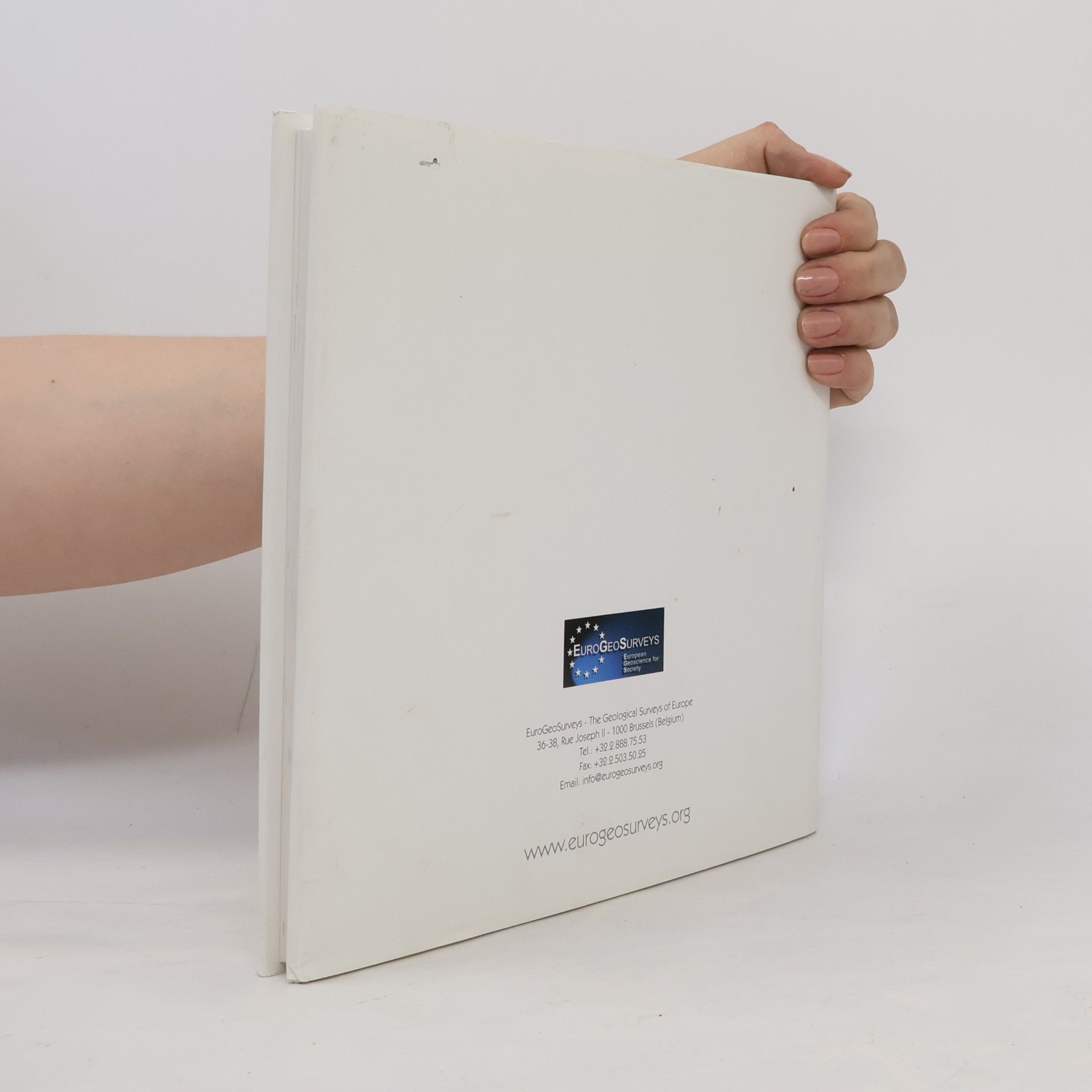Kolektiv autorů Geology at the Table: Cooking without Borders
