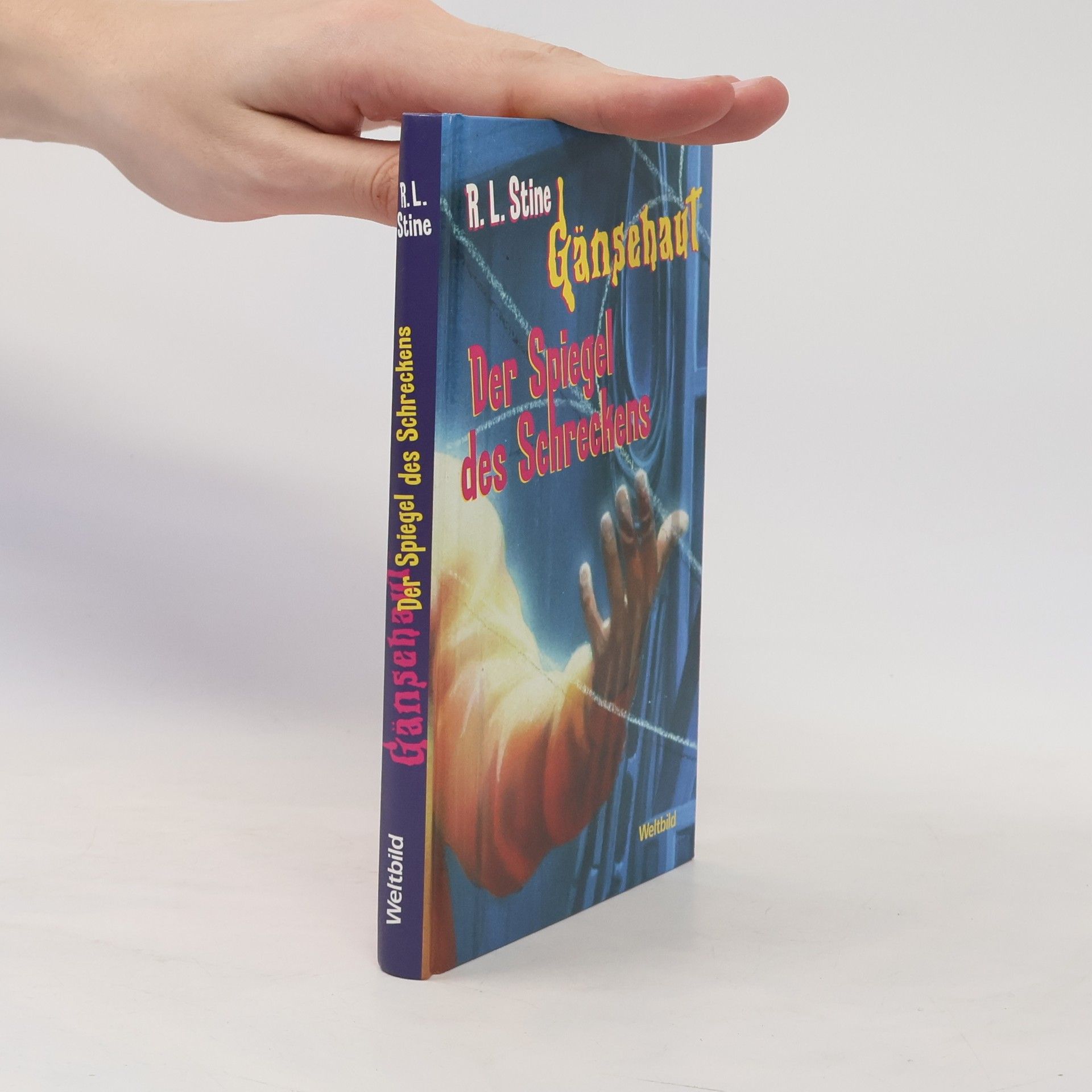 R. L. Stine Gänsehaut. Der Spiegel des Schreckens