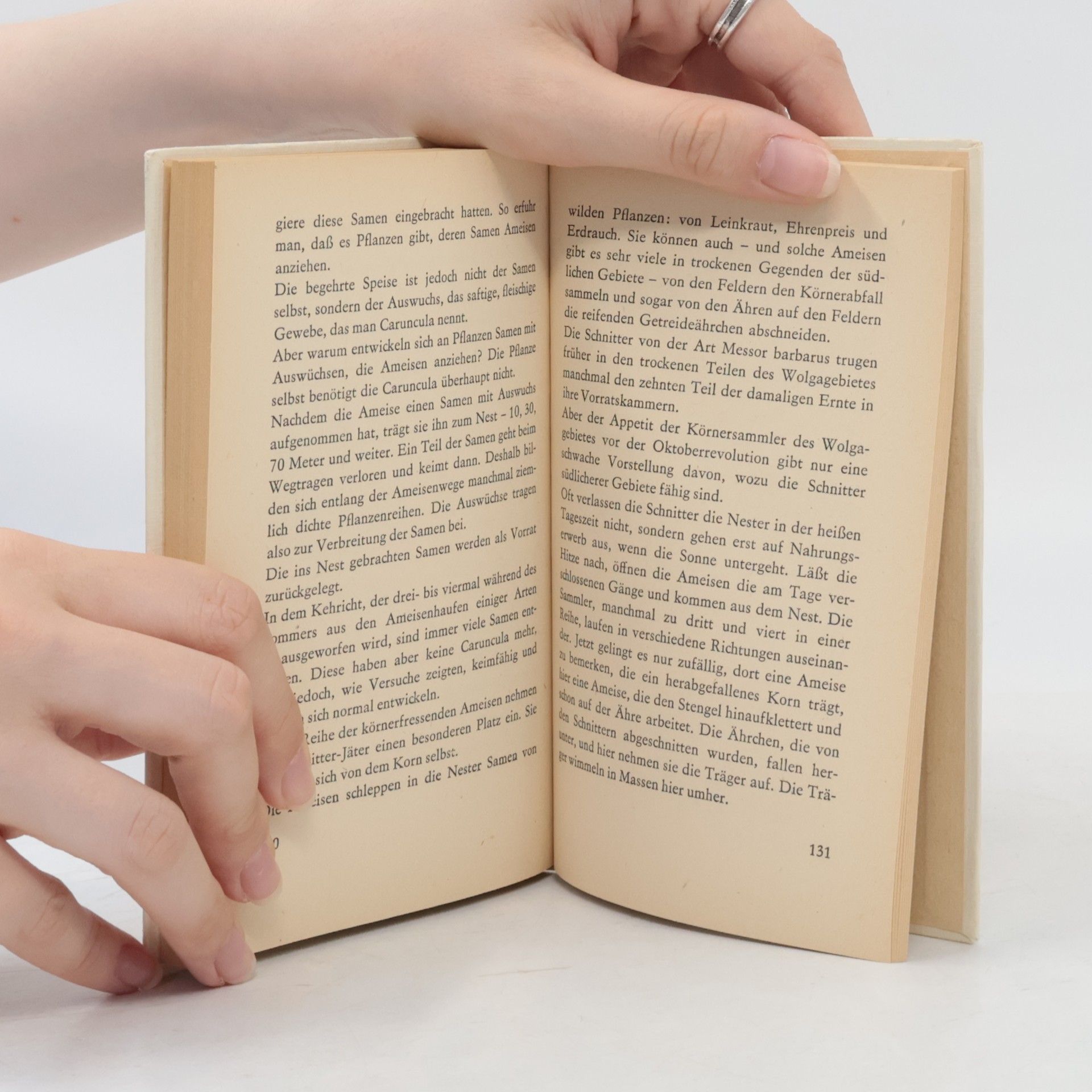 Jossif Chalifman Kleines Ameisenbuch