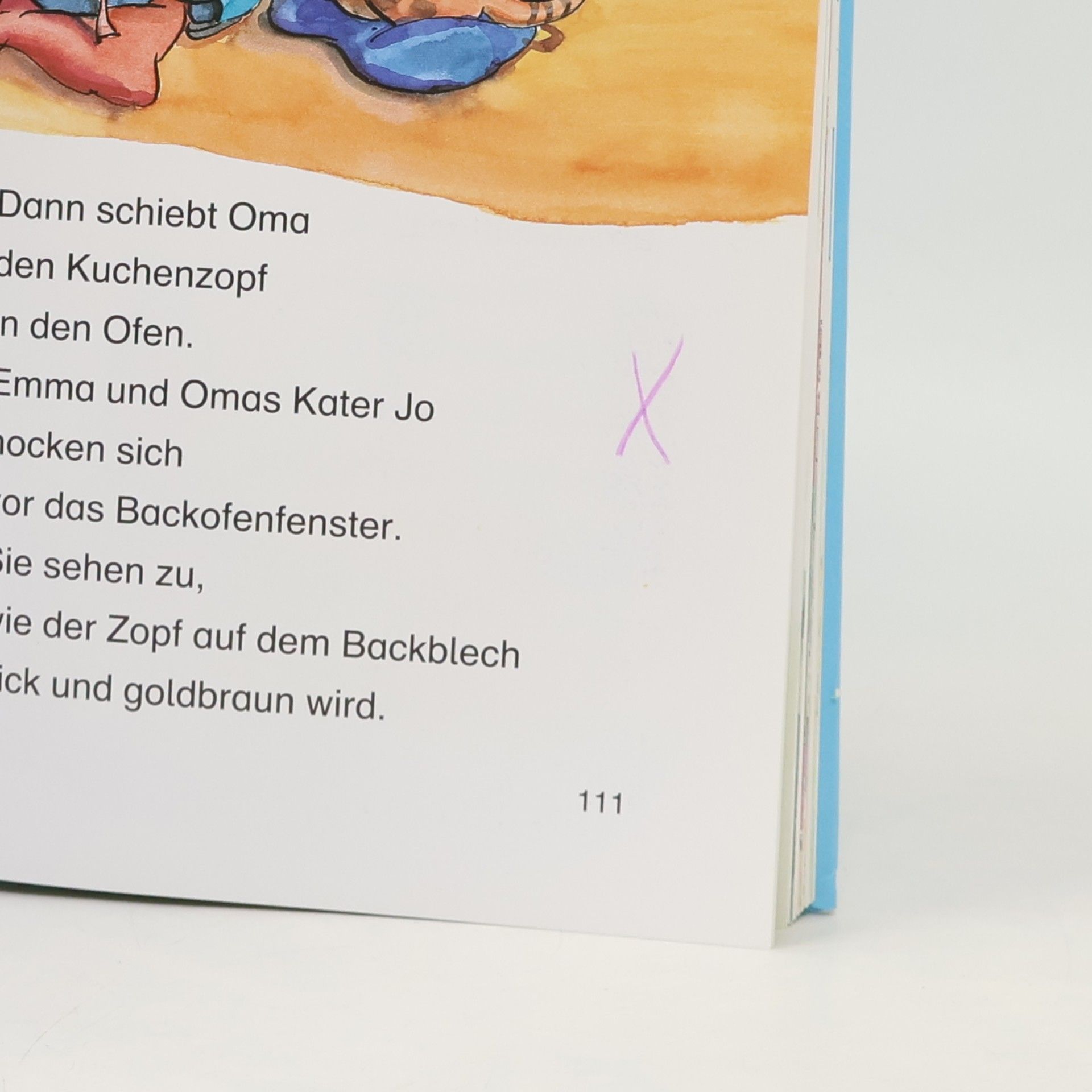Collectif d'auteurs 33 Lesepiraten-Geschichten für Erstleser