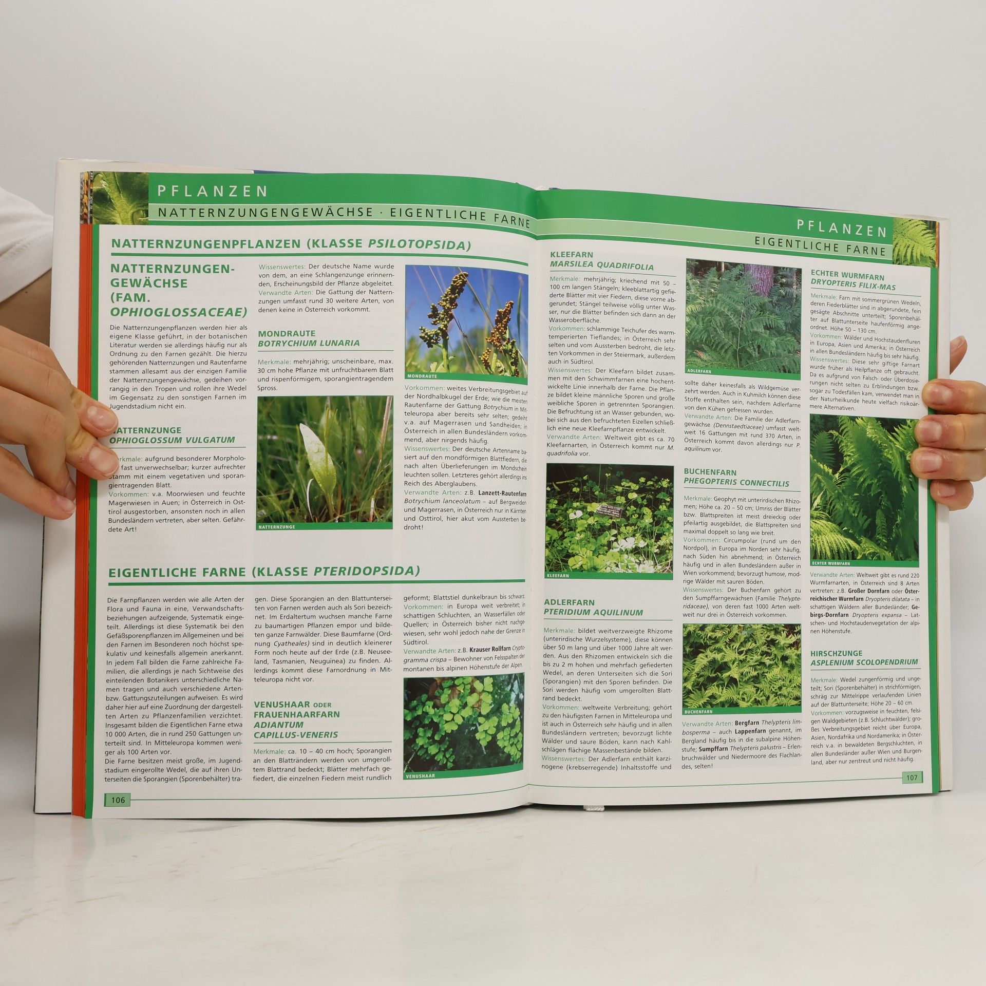 Various authors Das grosse Naturbuch. Österreich