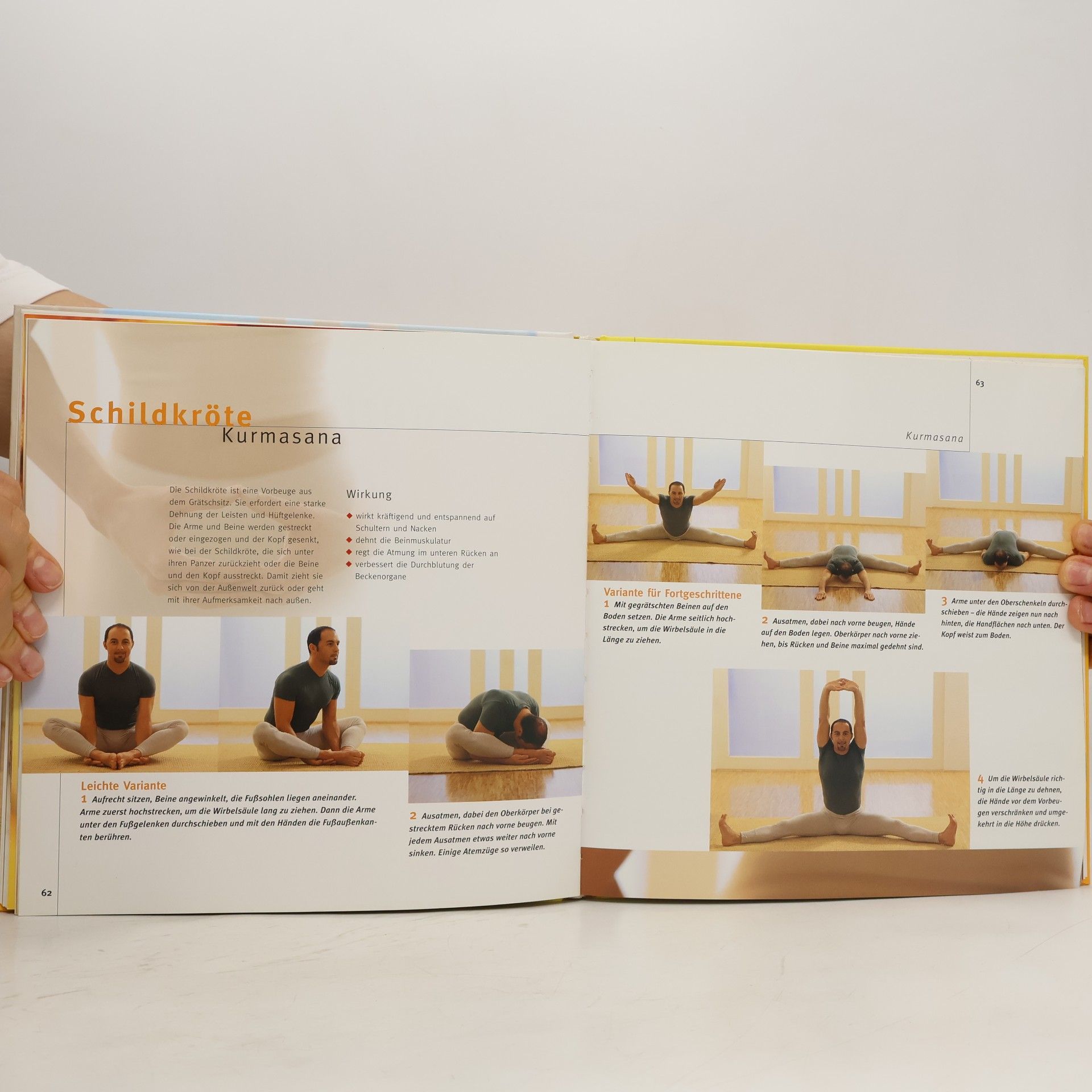 Eric Hubert Energy Yoga. 40 Asanas, die verborgene Energien wecken.