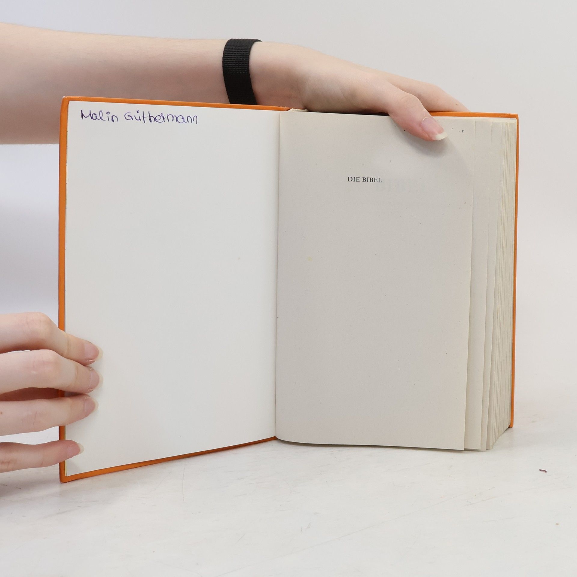 Martin Luther Die Bibel