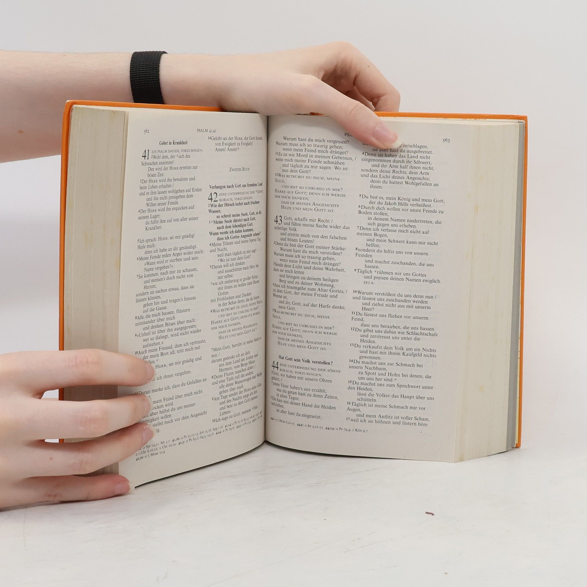 Martin Luther Die Bibel