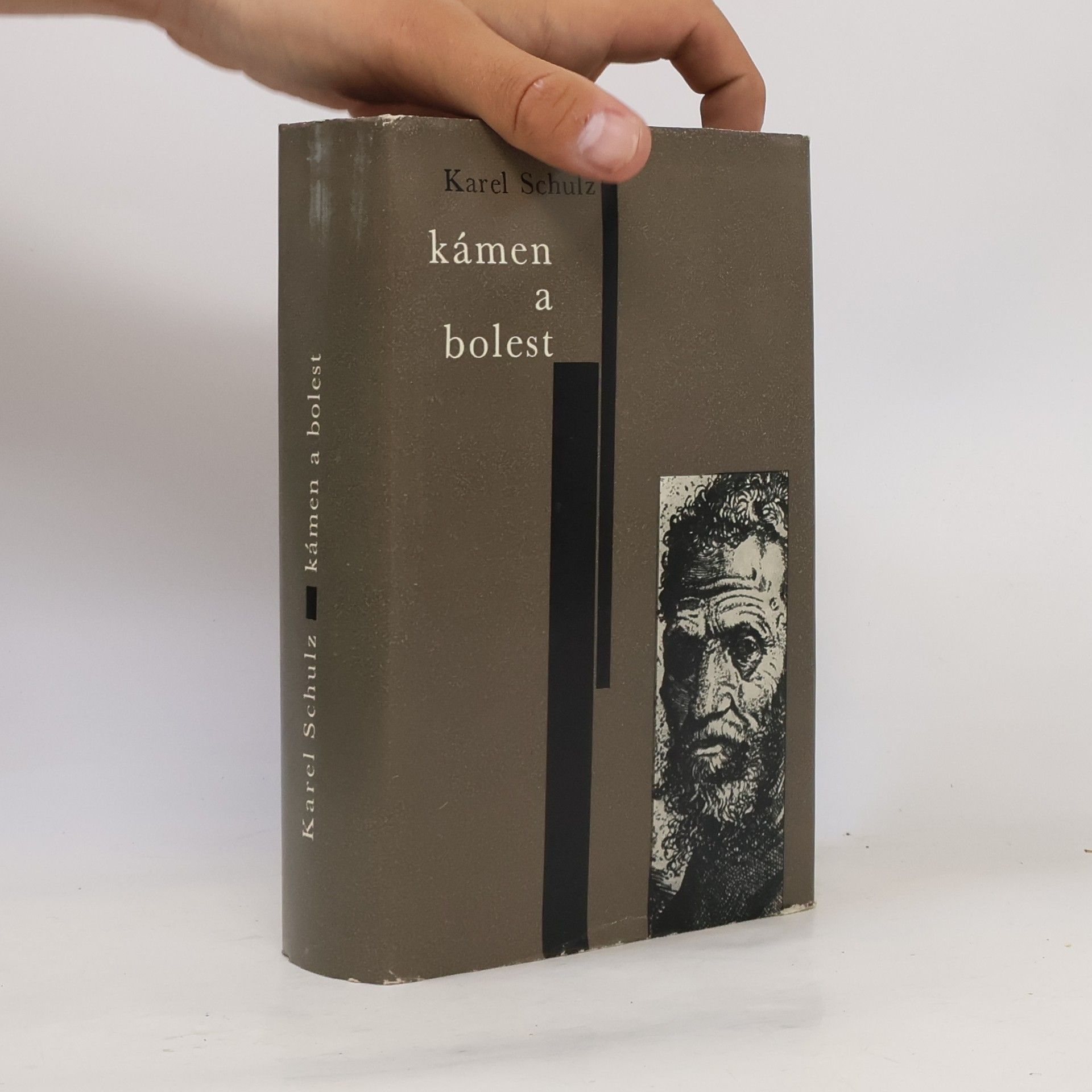 Karel Schulz Kámen a bolest