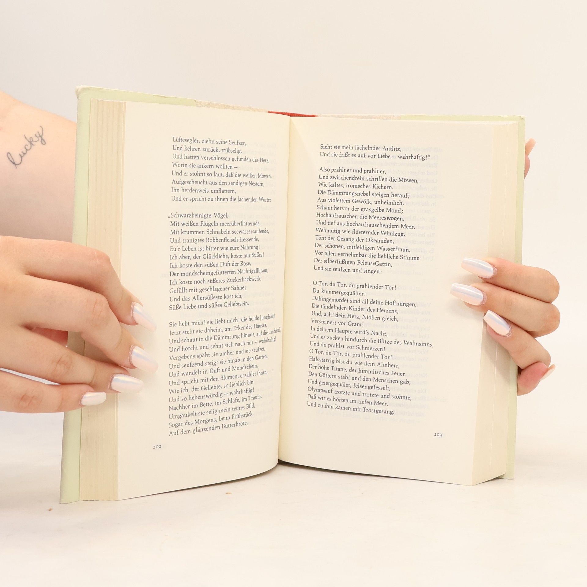 Heinrich Heine Werke und Briefe 1