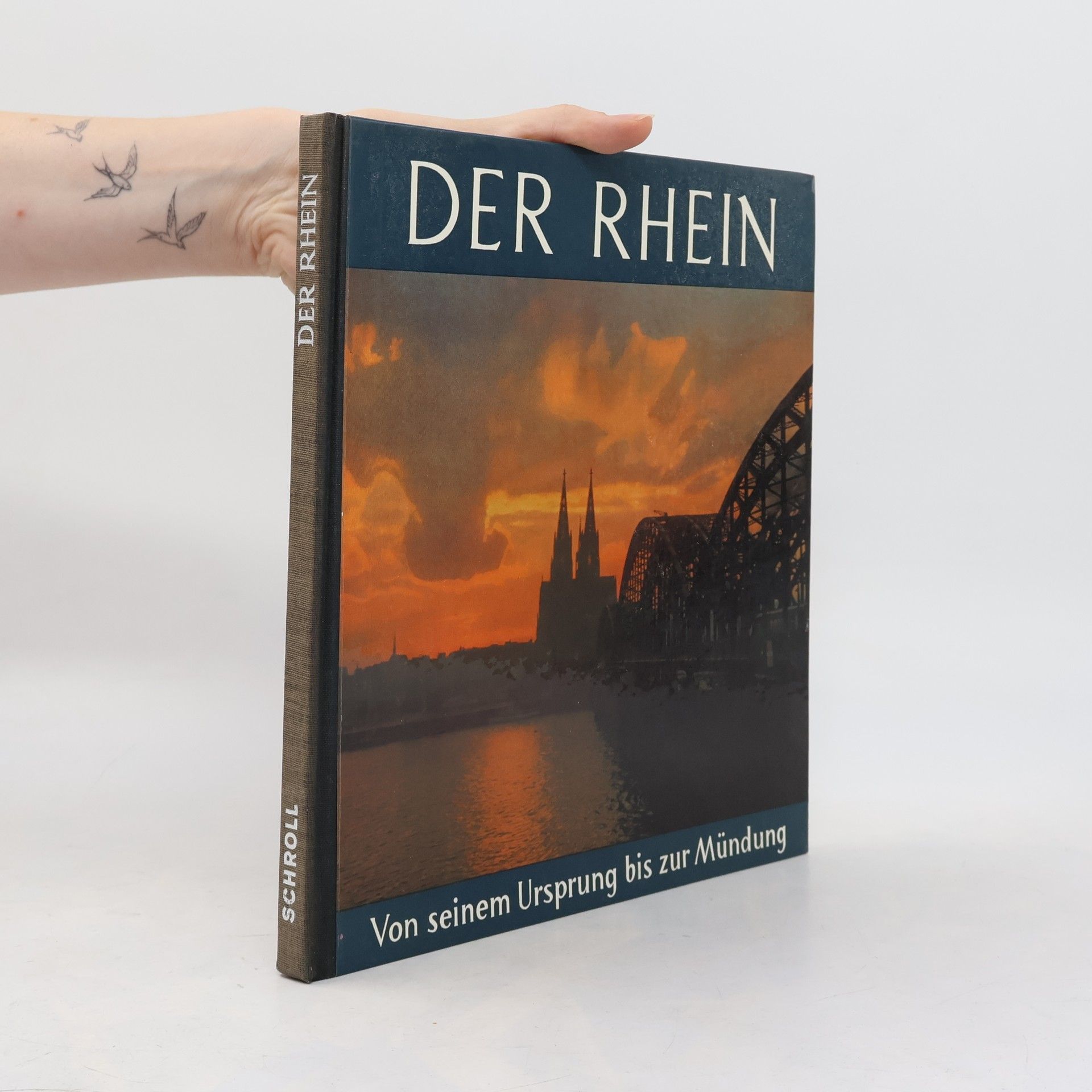 Various authors Der Rhein