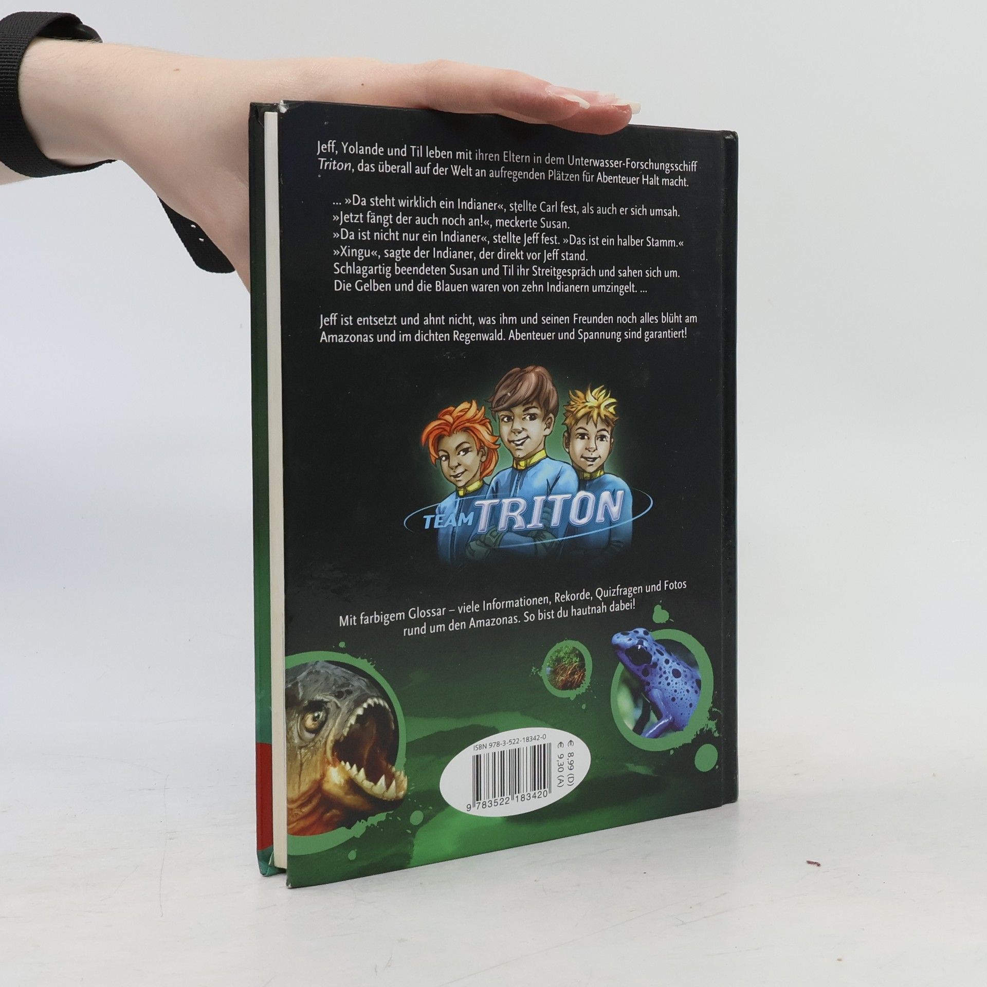 Bernd Flessner Team Triton - 2: Piranhas greifen an!